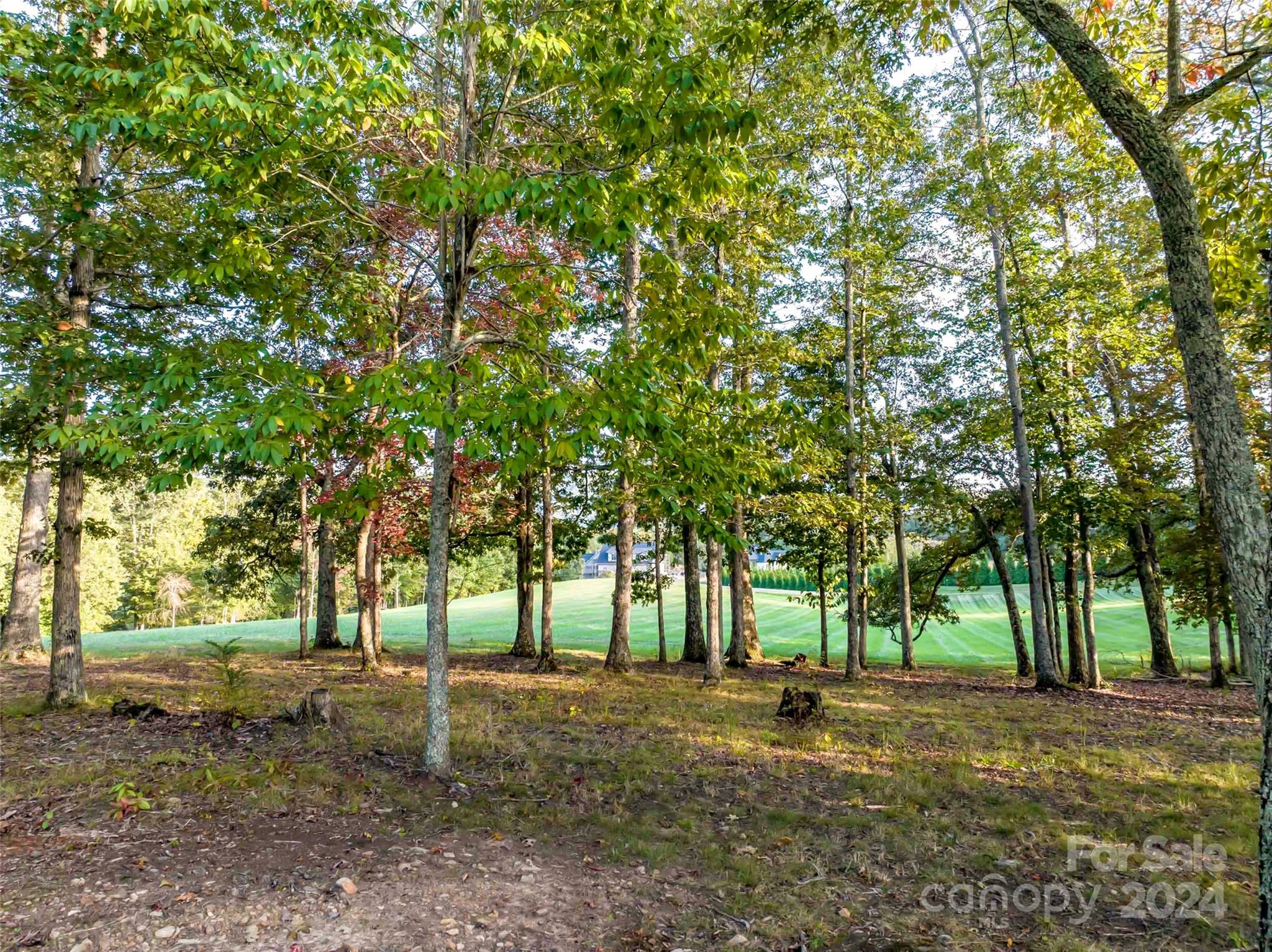 337 Chukar Way Lot 21 Property Photo 6