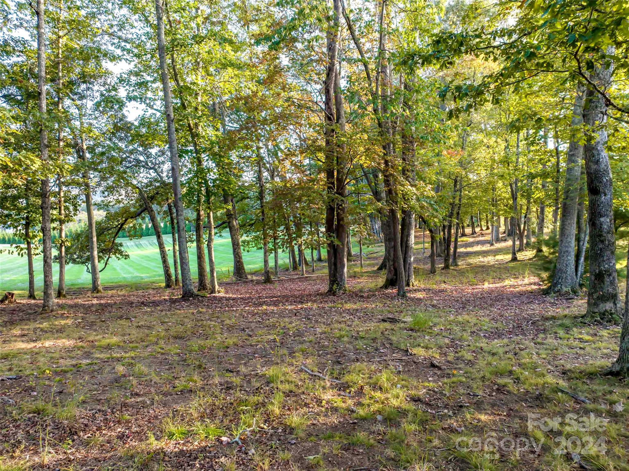 337 Chukar Way Lot 21 Property Photo 7