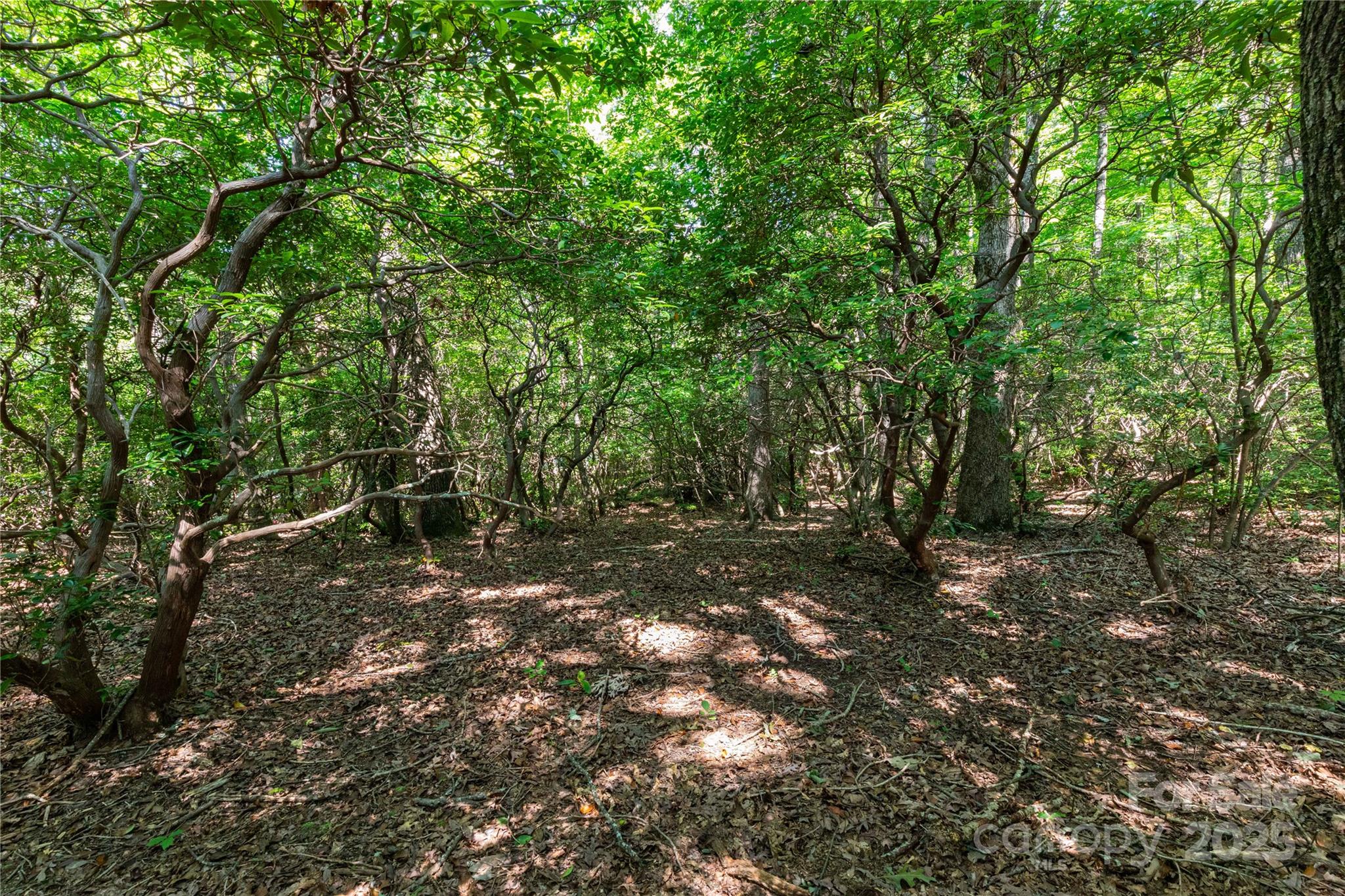 9999 Arrowhead Trail 74, 75, And 76 Property Photo 3