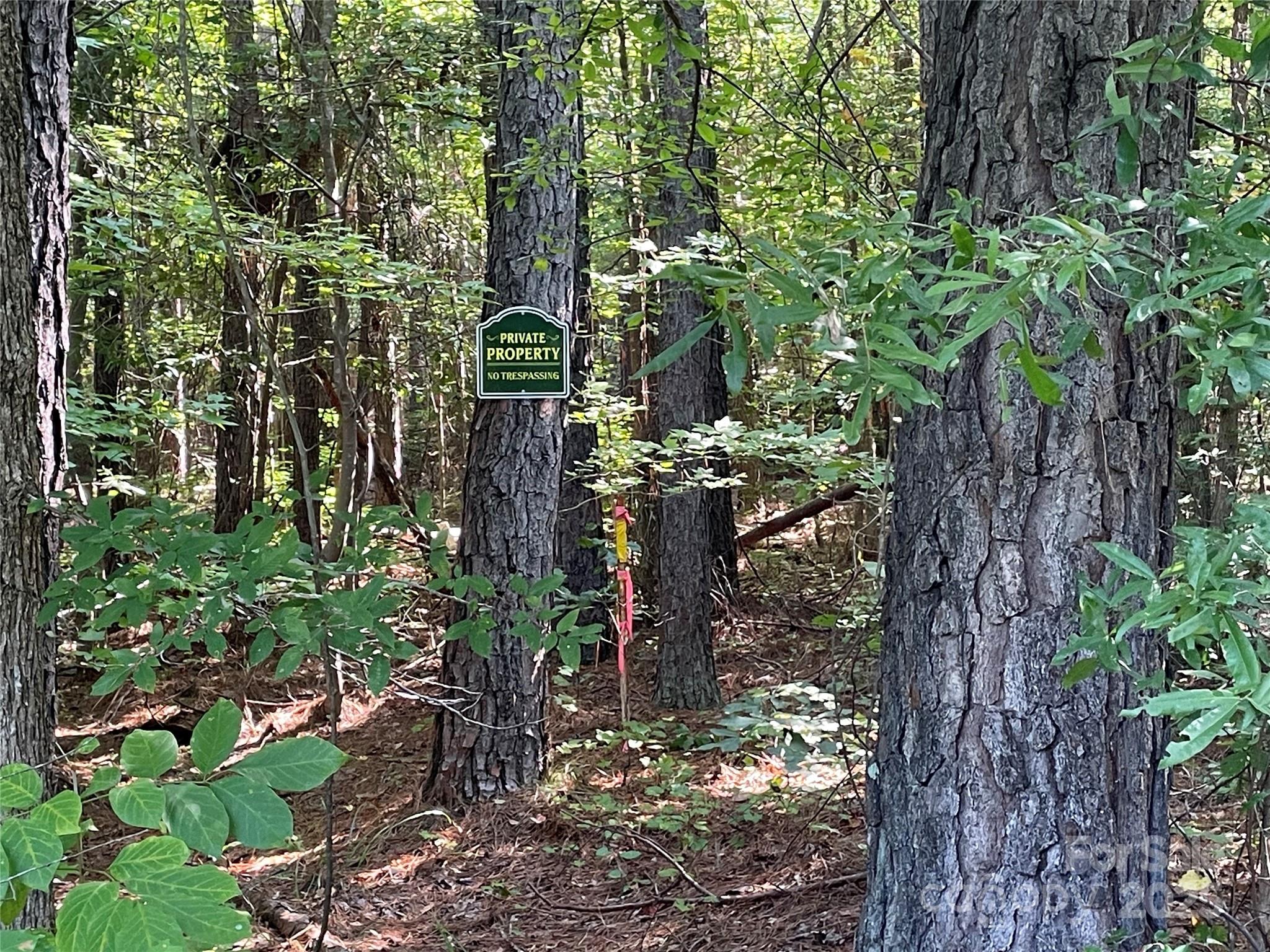 00 Carlisle White Road Property Photo 25