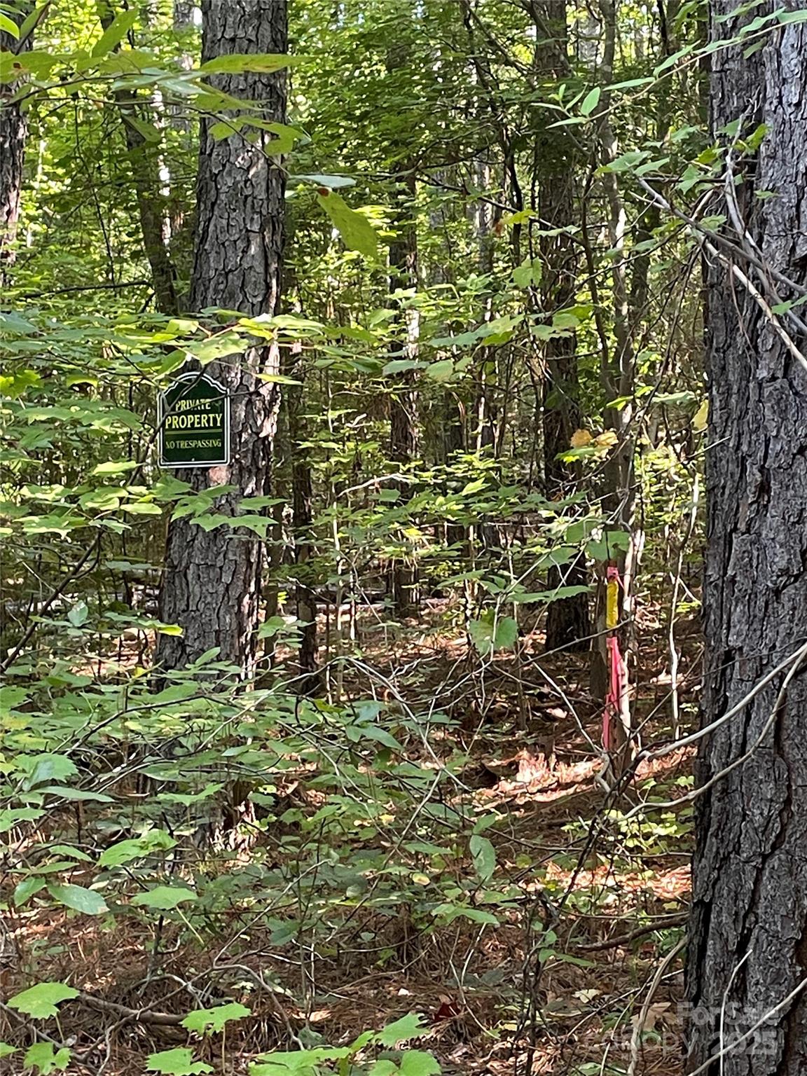 00 Carlisle White Road Property Photo 26