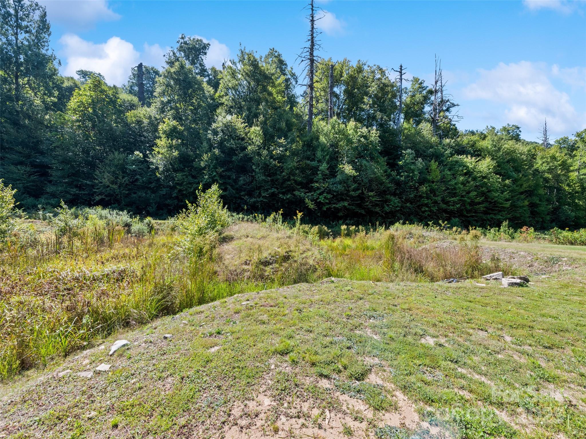 11178 Us 19 Highway Property Photo 9