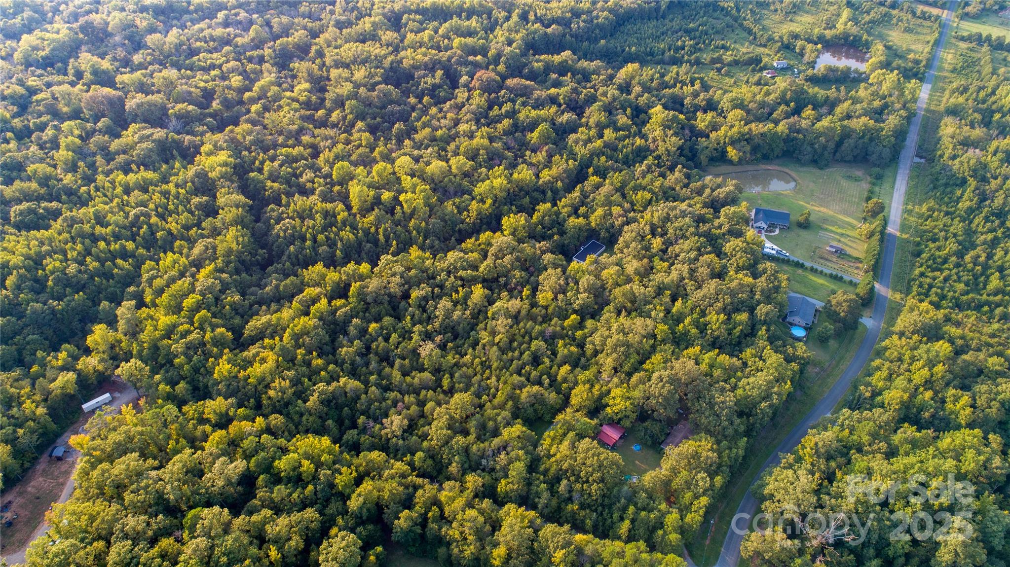 9224 Maggie Robinson Road Property Photo 10