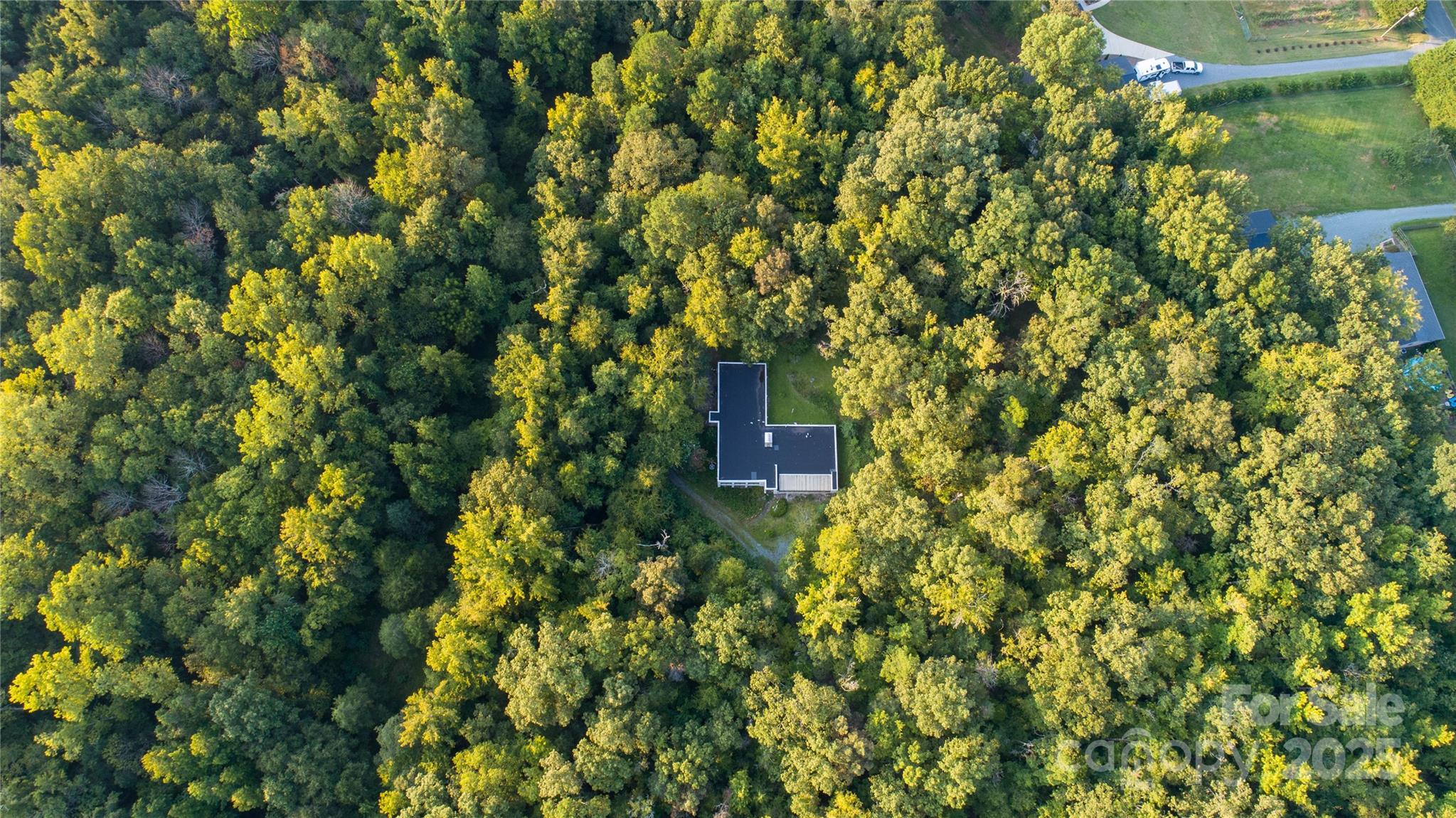 9224 Maggie Robinson Road Property Photo 40