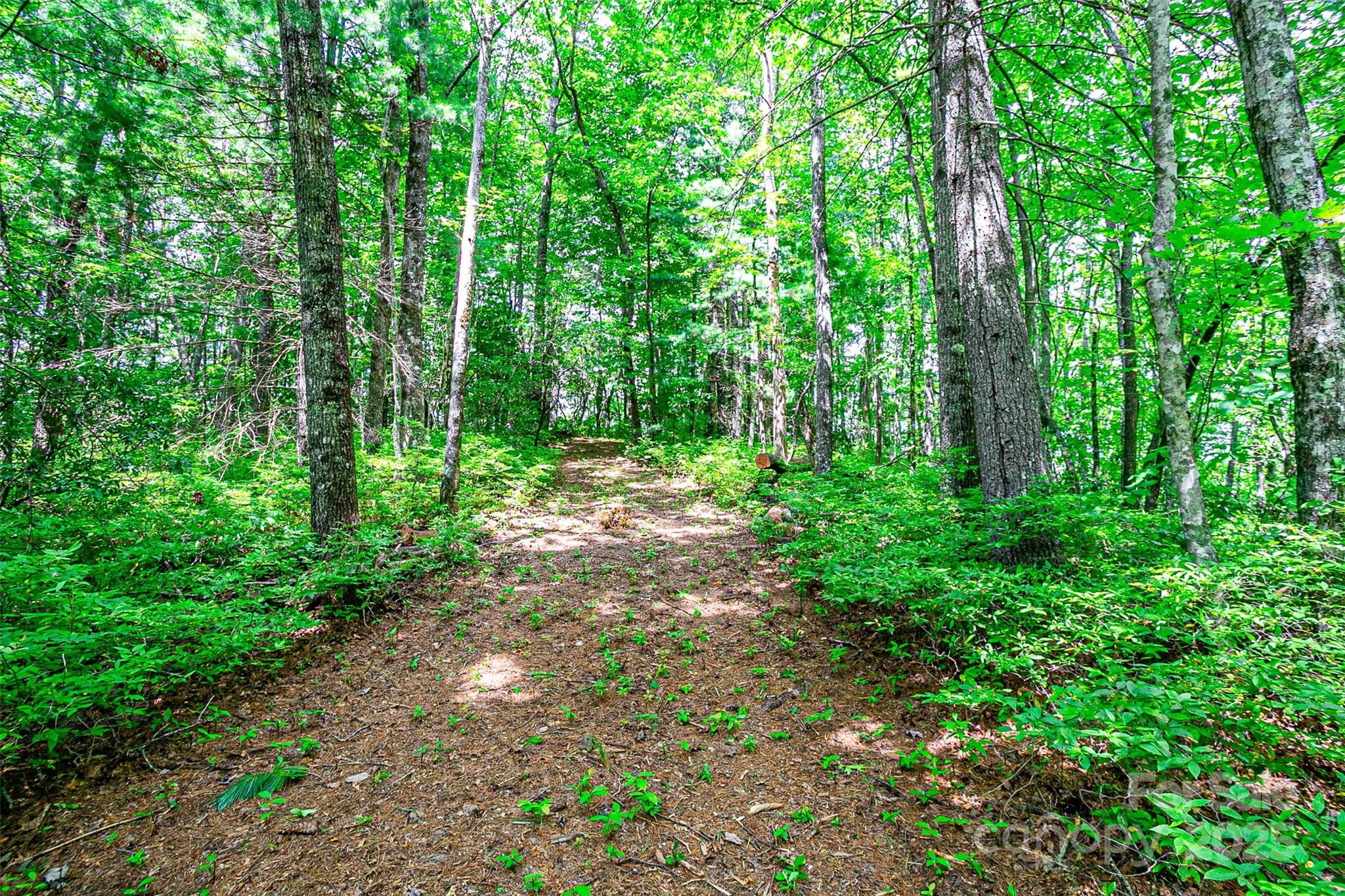 Tbd Big Branch Road Property Photo