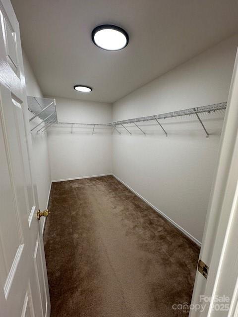 2548 Sweet Birch Court Property Photo 22