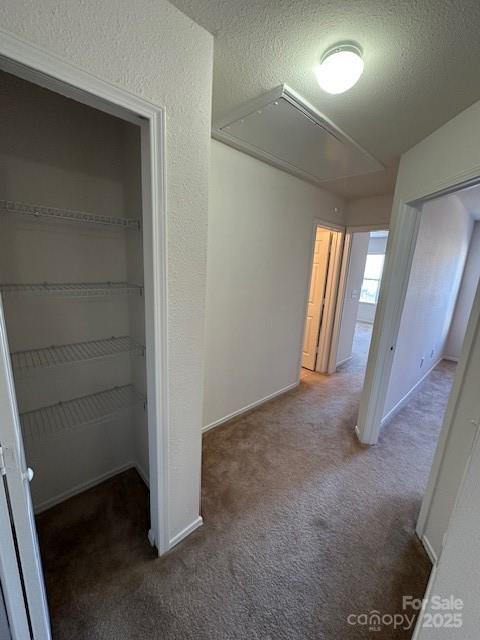 2548 Sweet Birch Court Property Photo 30