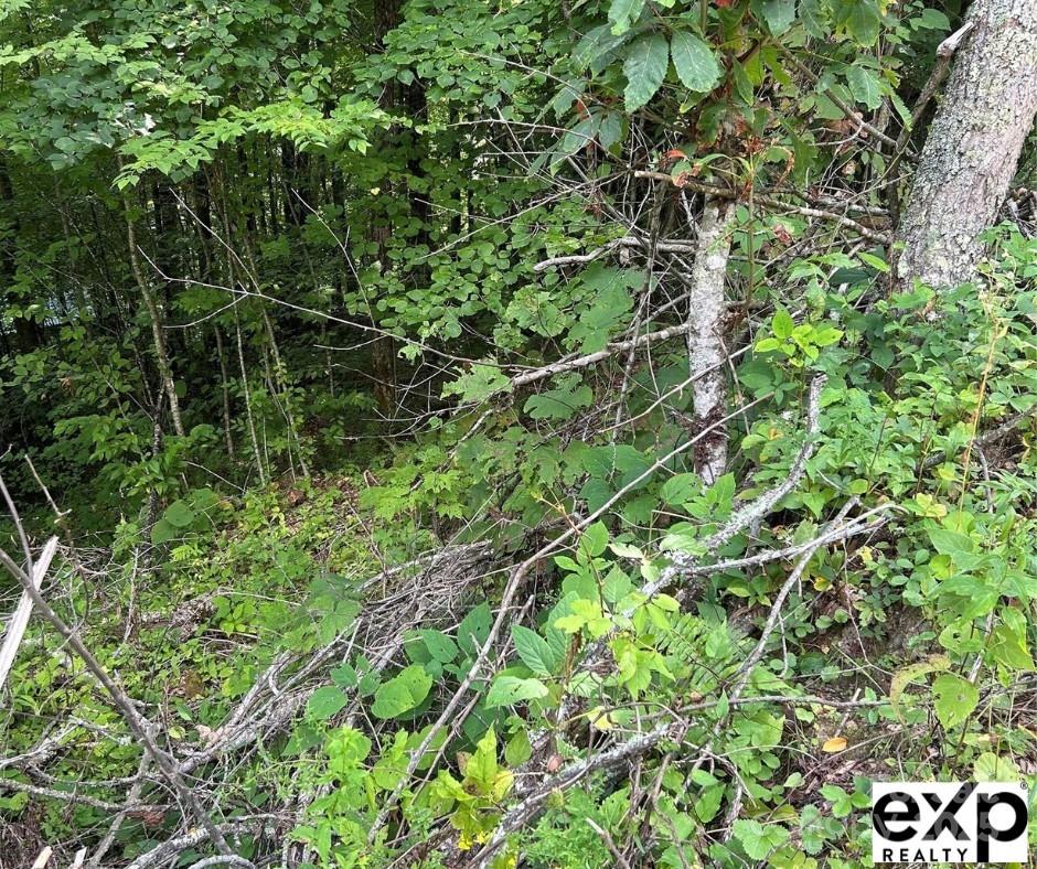 0000 Conley Drive Property Photo