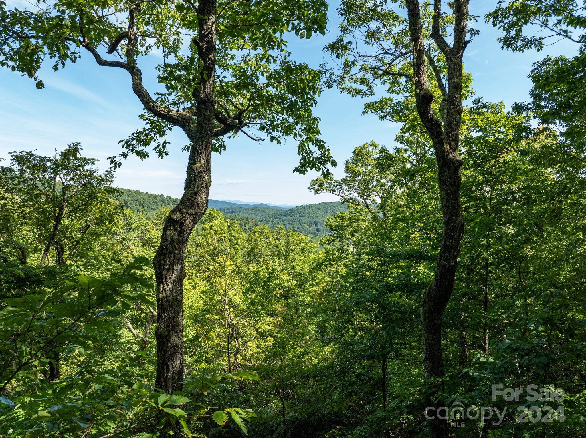 Lot 25 Panther Mountain Road Cvn-cvn-025 Property Photo 1