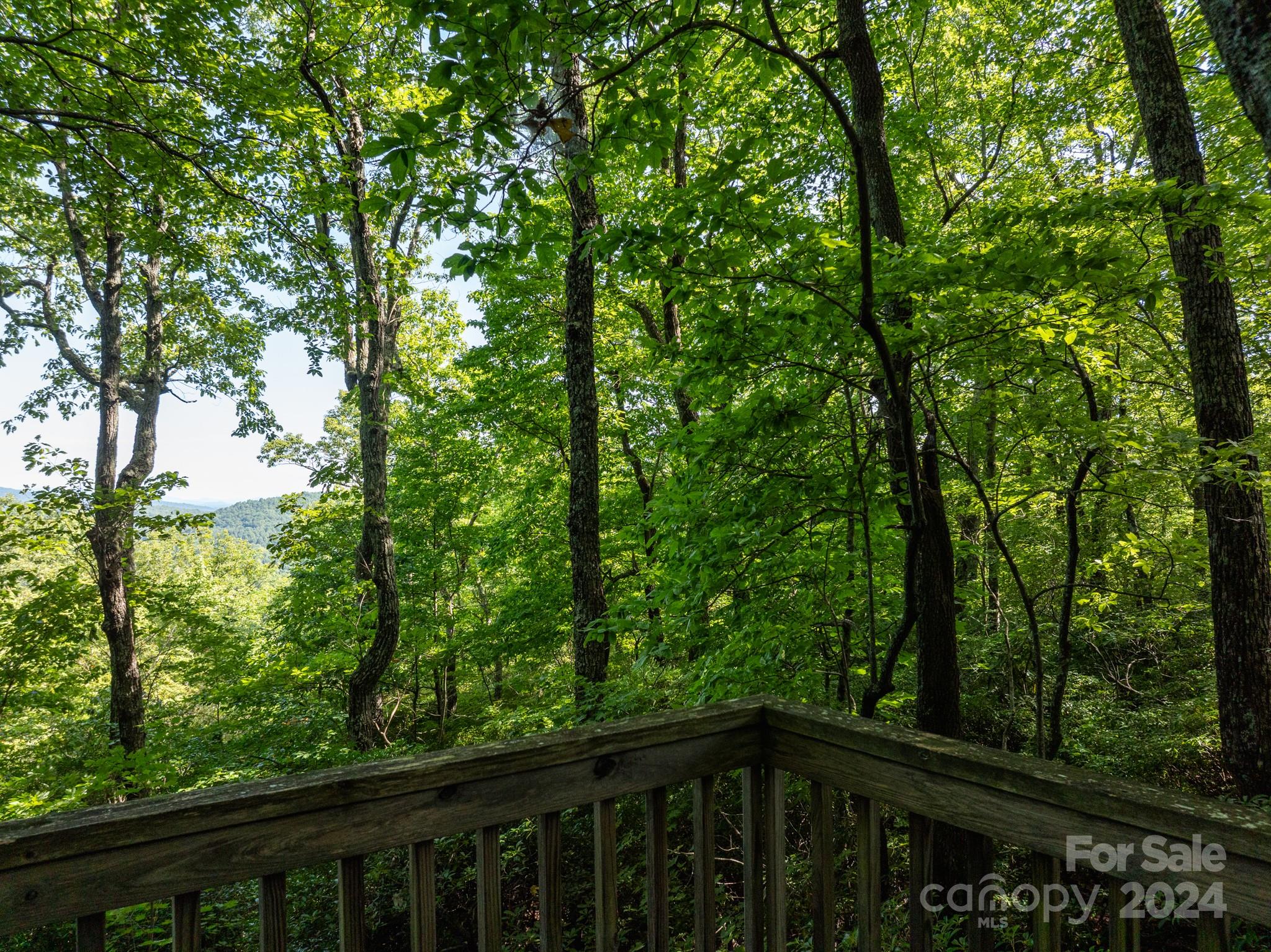 Lot 25 Panther Mountain Road Cvn-cvn-025 Property Photo 4