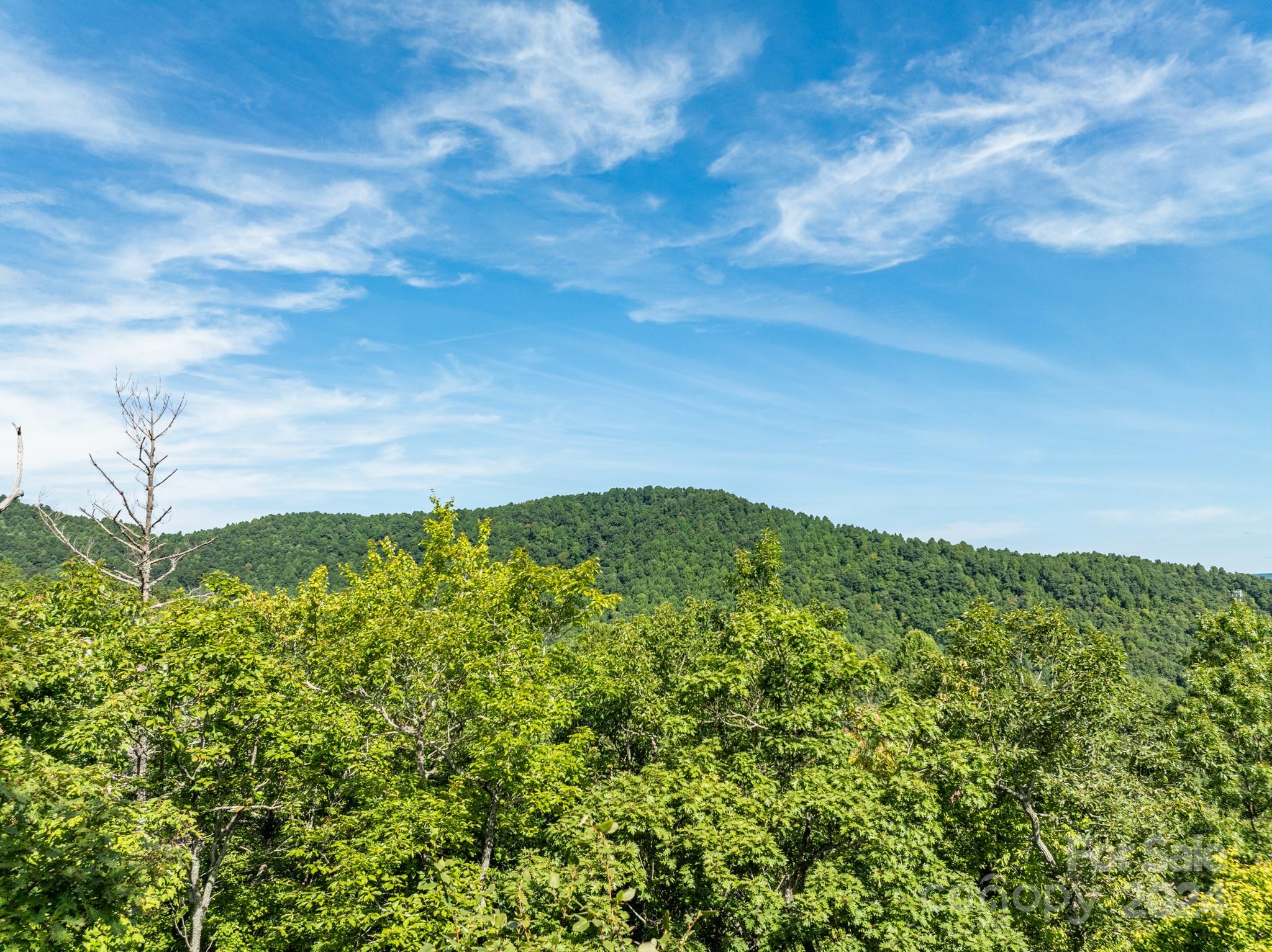 Lot 25 Panther Mountain Road Cvn-cvn-025 Property Photo 6