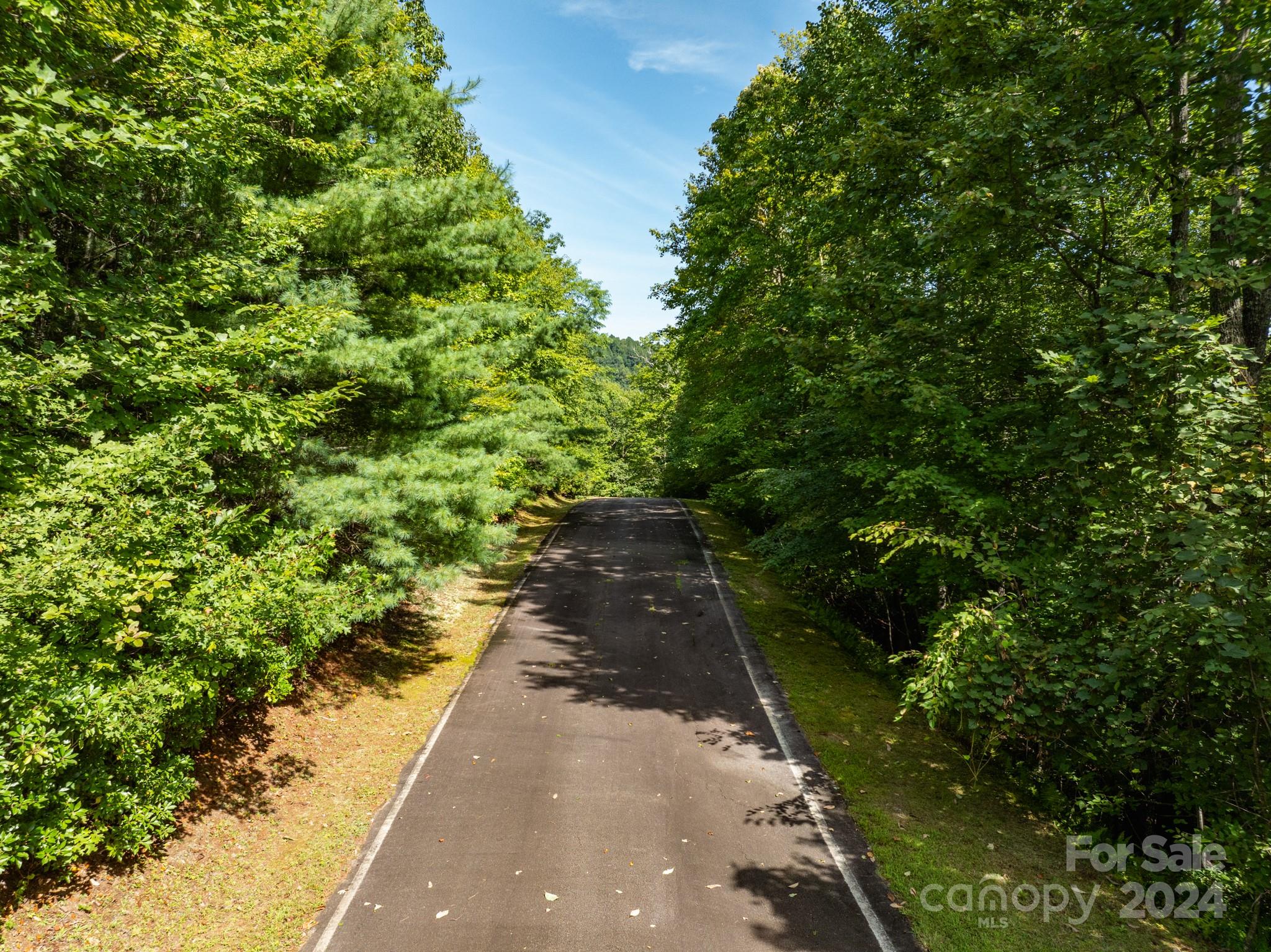 Lot 25 Panther Mountain Road Cvn-cvn-025 Property Photo 7