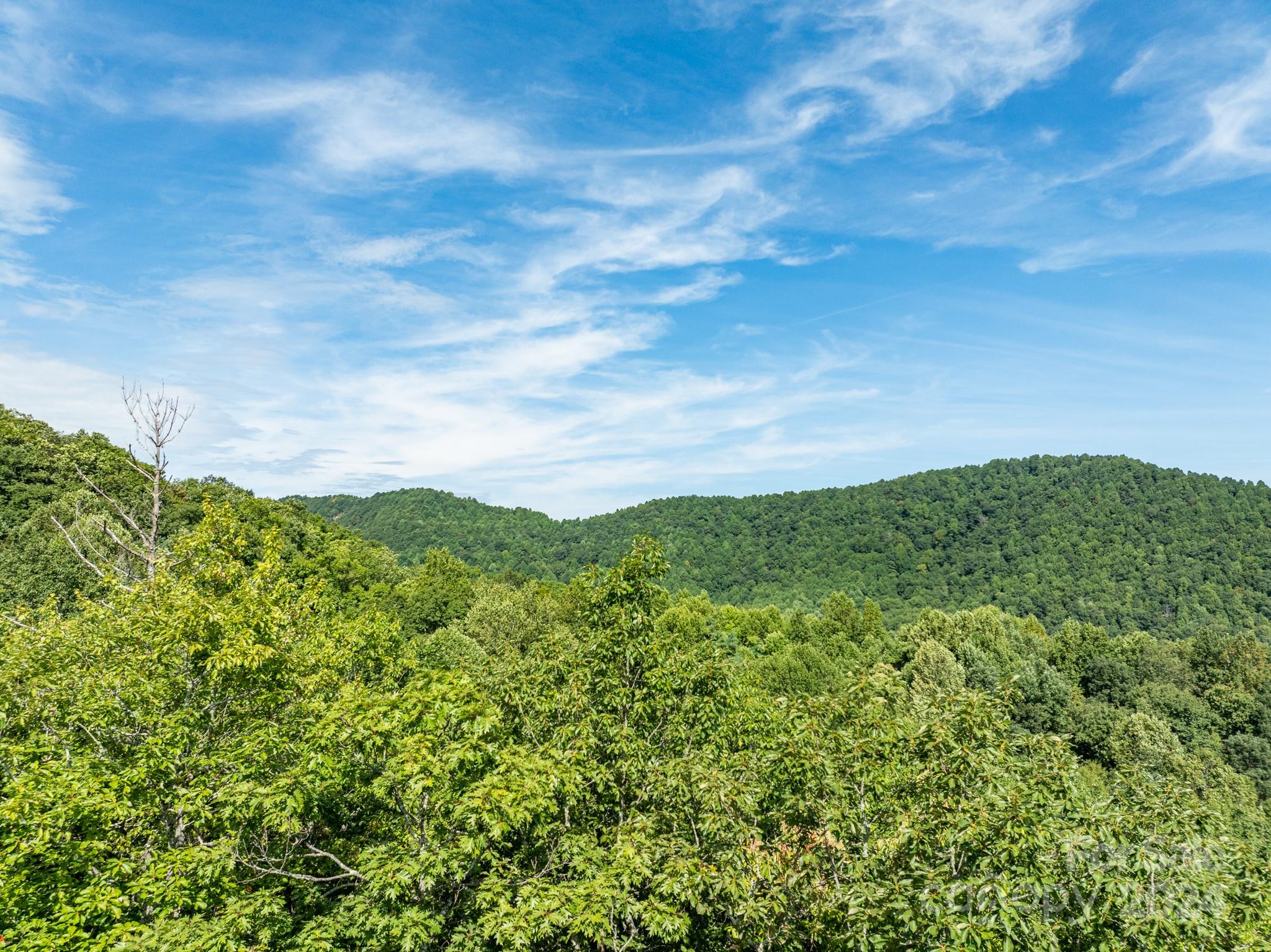 Lot 25 Panther Mountain Road Cvn-cvn-025 Property Photo 9
