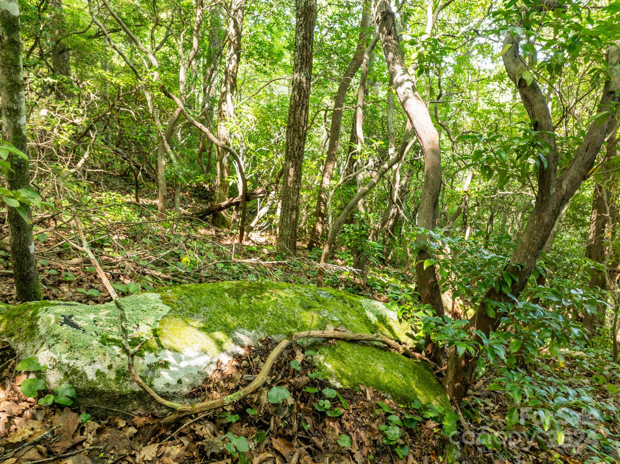 Lot 25 Panther Mountain Road Cvn-cvn-025 Property Photo 15