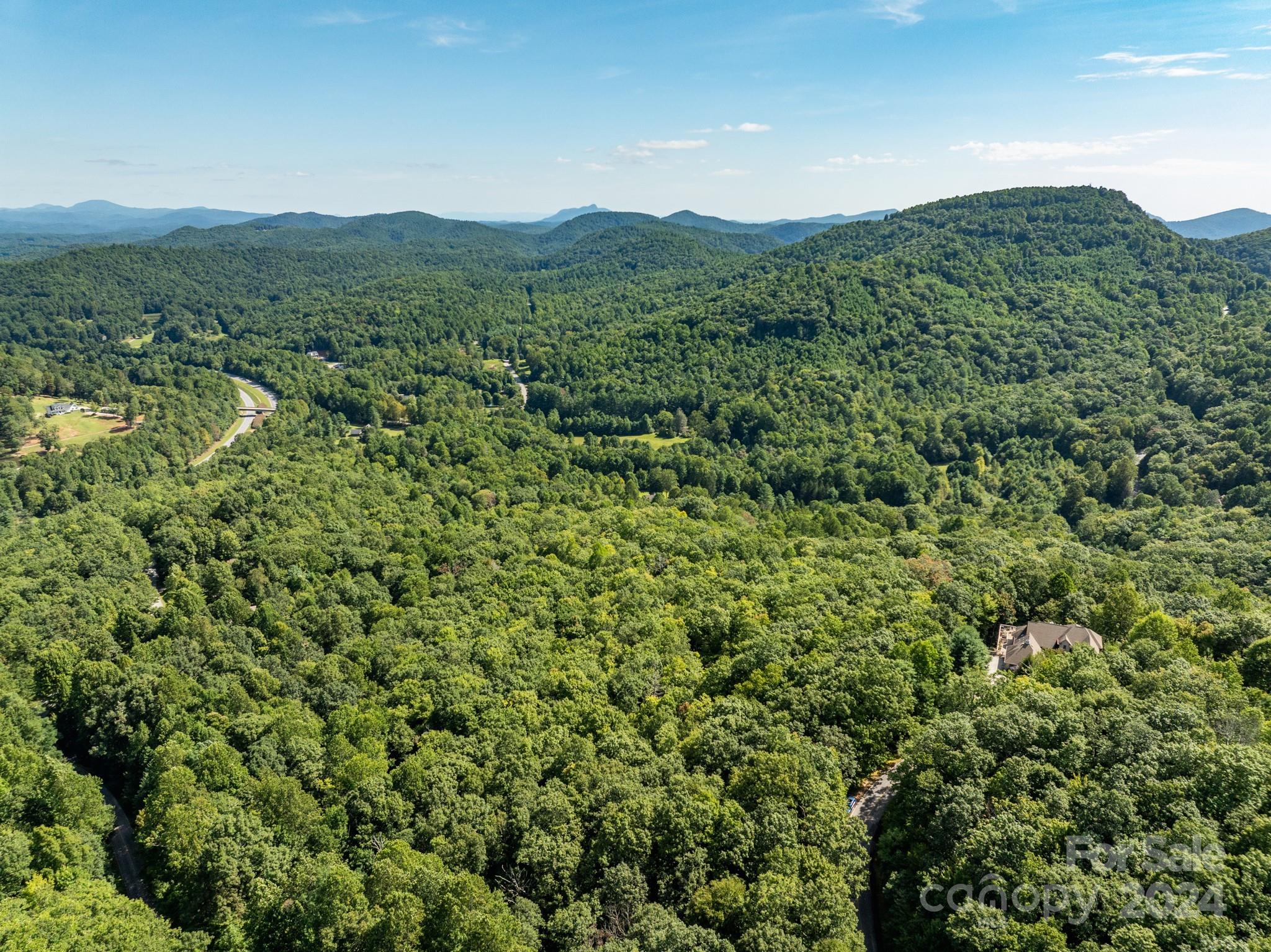 Lot 25 Panther Mountain Road Cvn-cvn-025 Property Photo 18