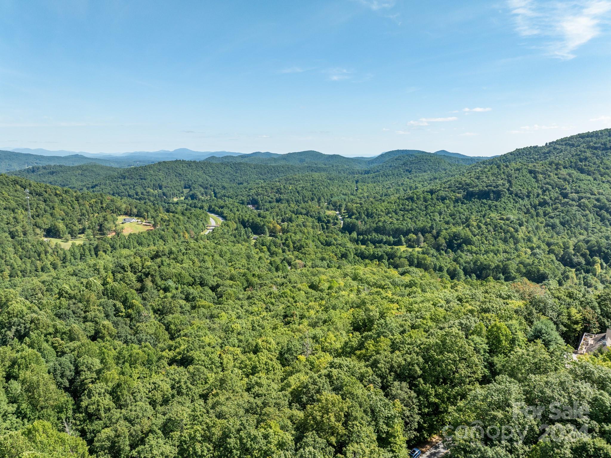 Lot 25 Panther Mountain Road Cvn-cvn-025 Property Photo 19