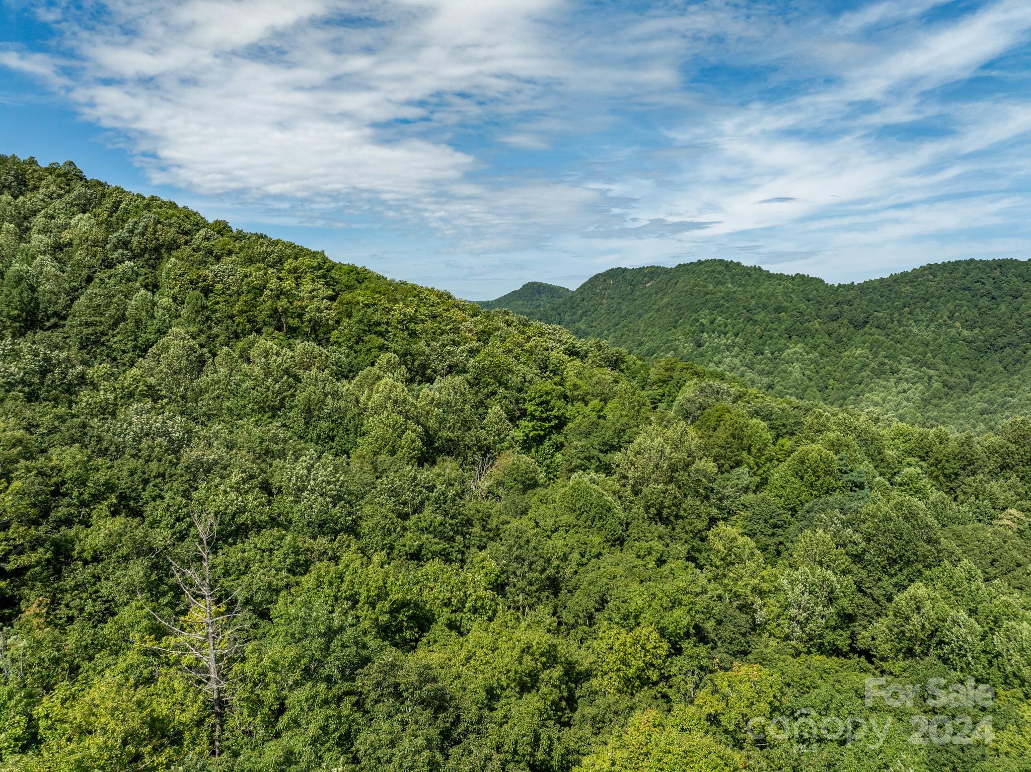 Lot 25 Panther Mountain Road Cvn-cvn-025 Property Photo 25