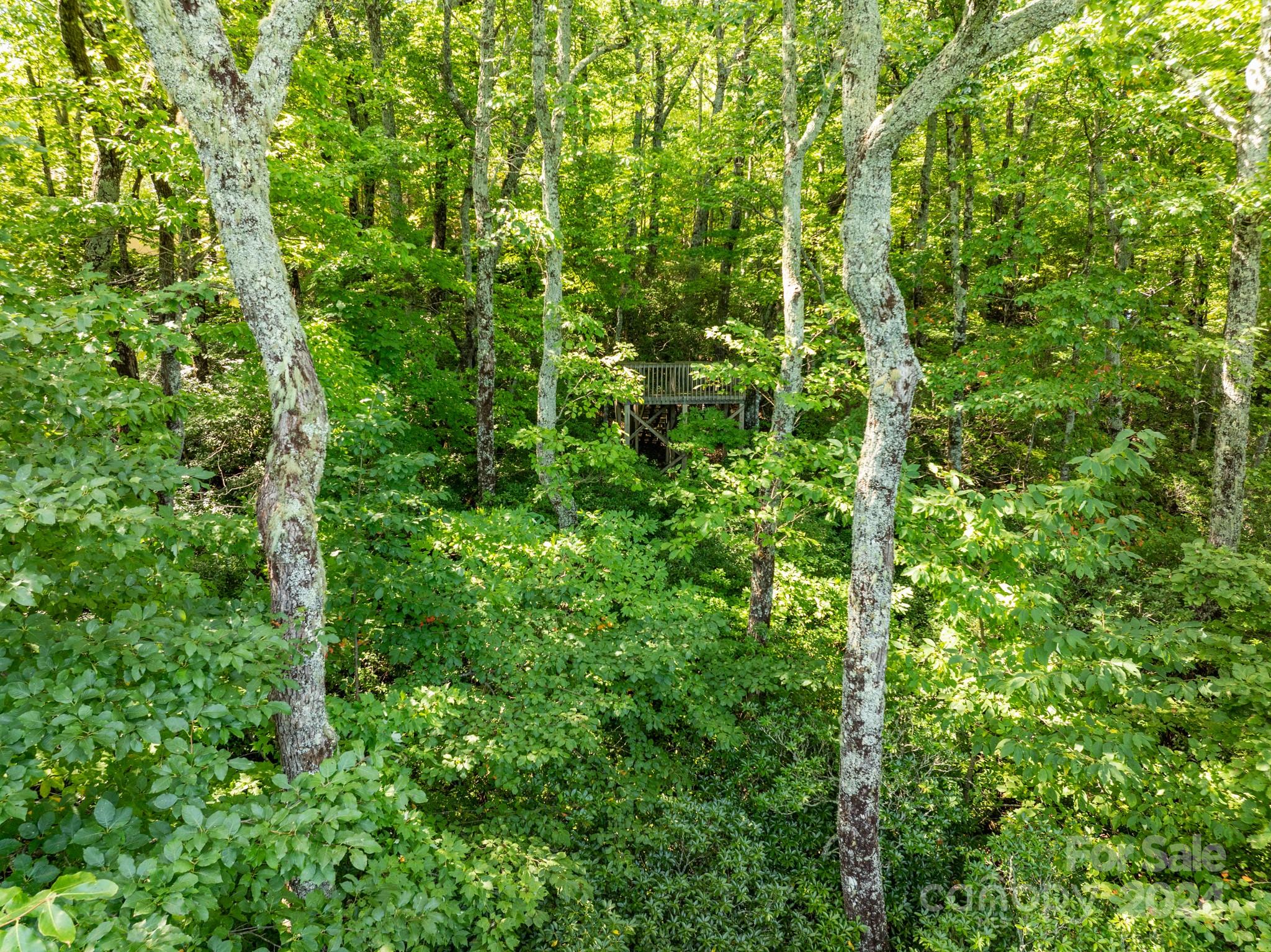 Lot 25 Panther Mountain Road Cvn-cvn-025 Property Photo 27