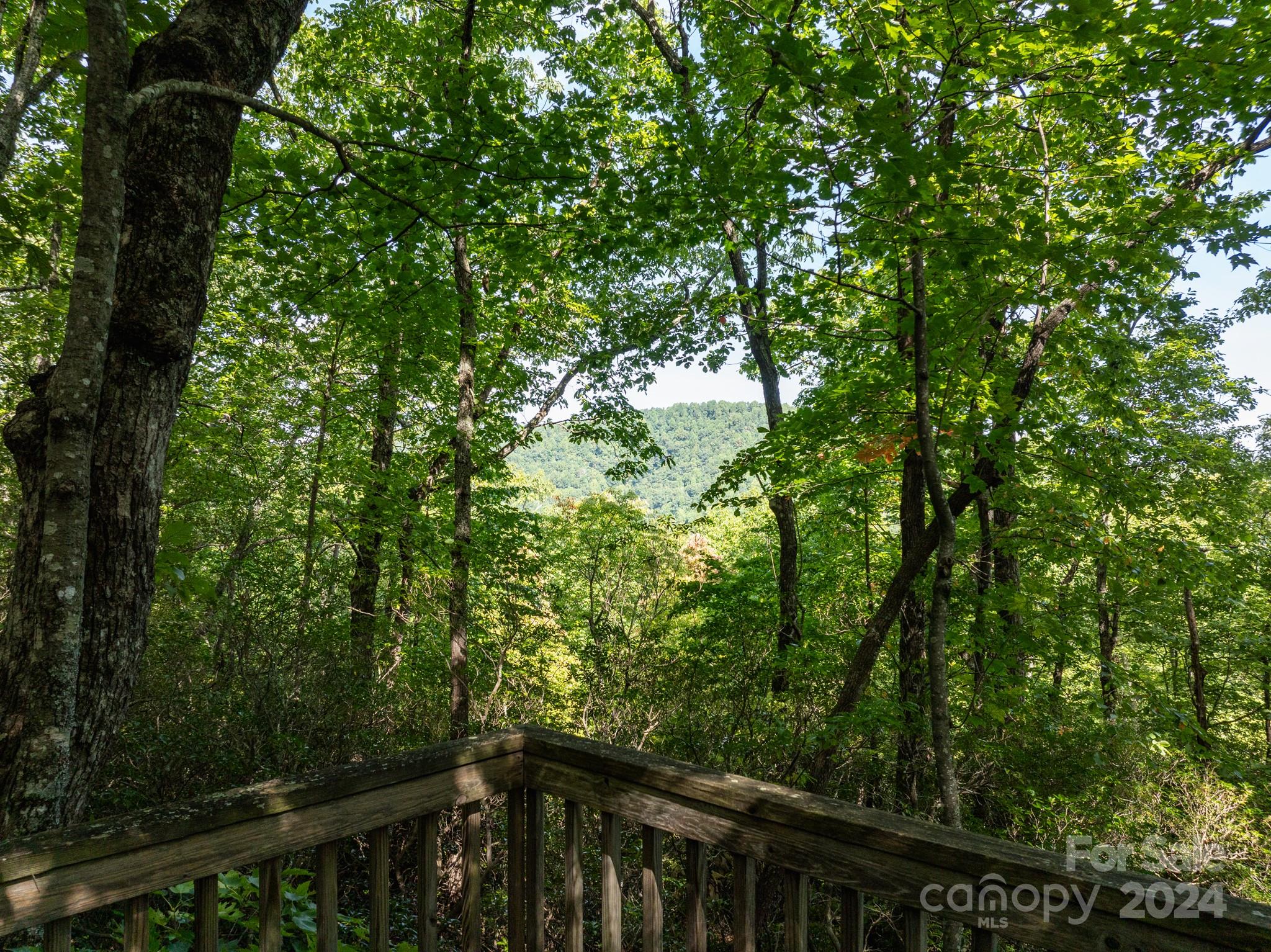 Lot 25 Panther Mountain Road Cvn-cvn-025 Property Photo 28