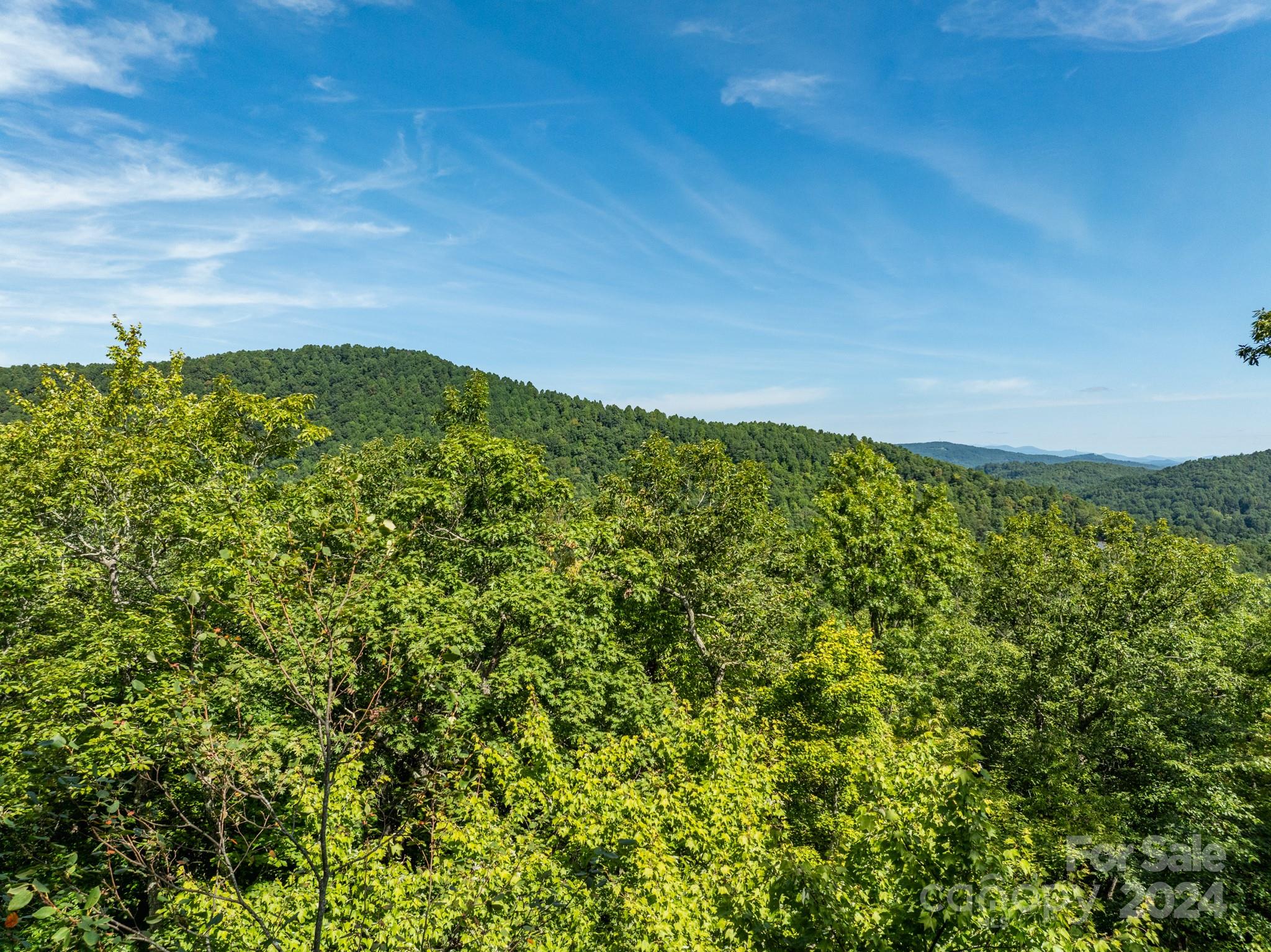 Lot 25 Panther Mountain Road Cvn-cvn-025 Property Photo 29