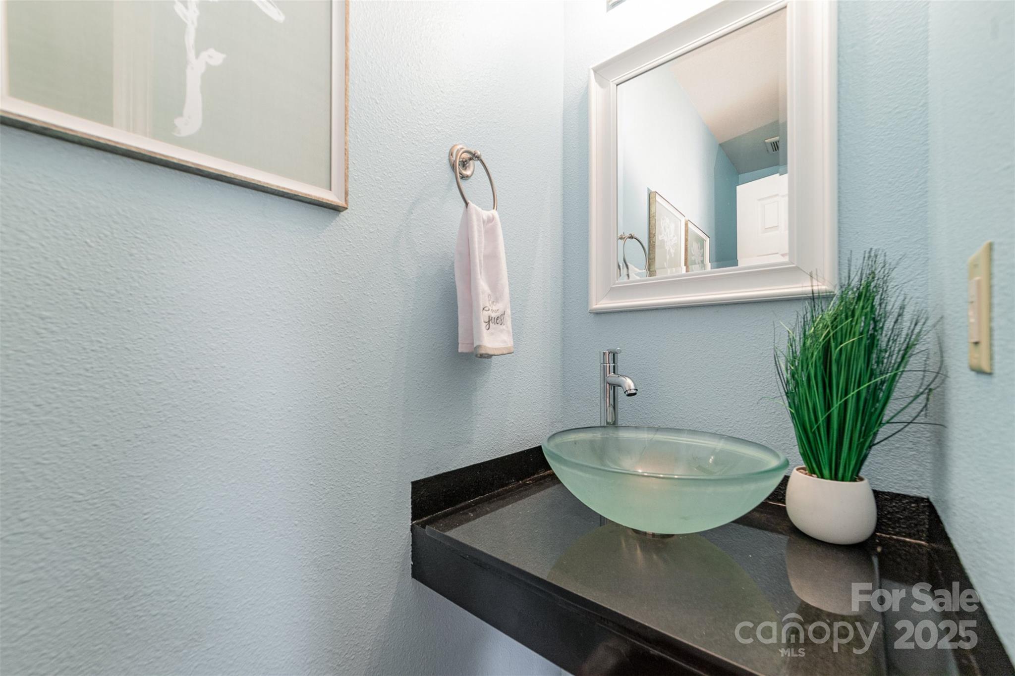 672 Carybrook Court Property Photo 9