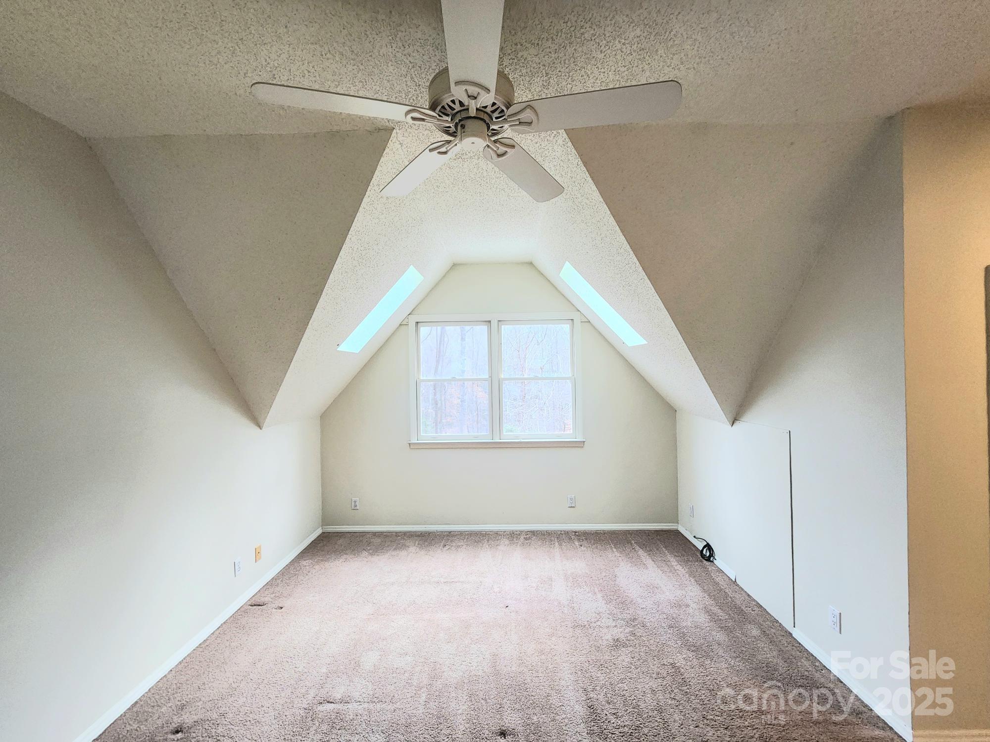 29 Comfort Road Property Photo 8