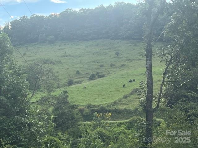 22 Fern Gully None Property Photo