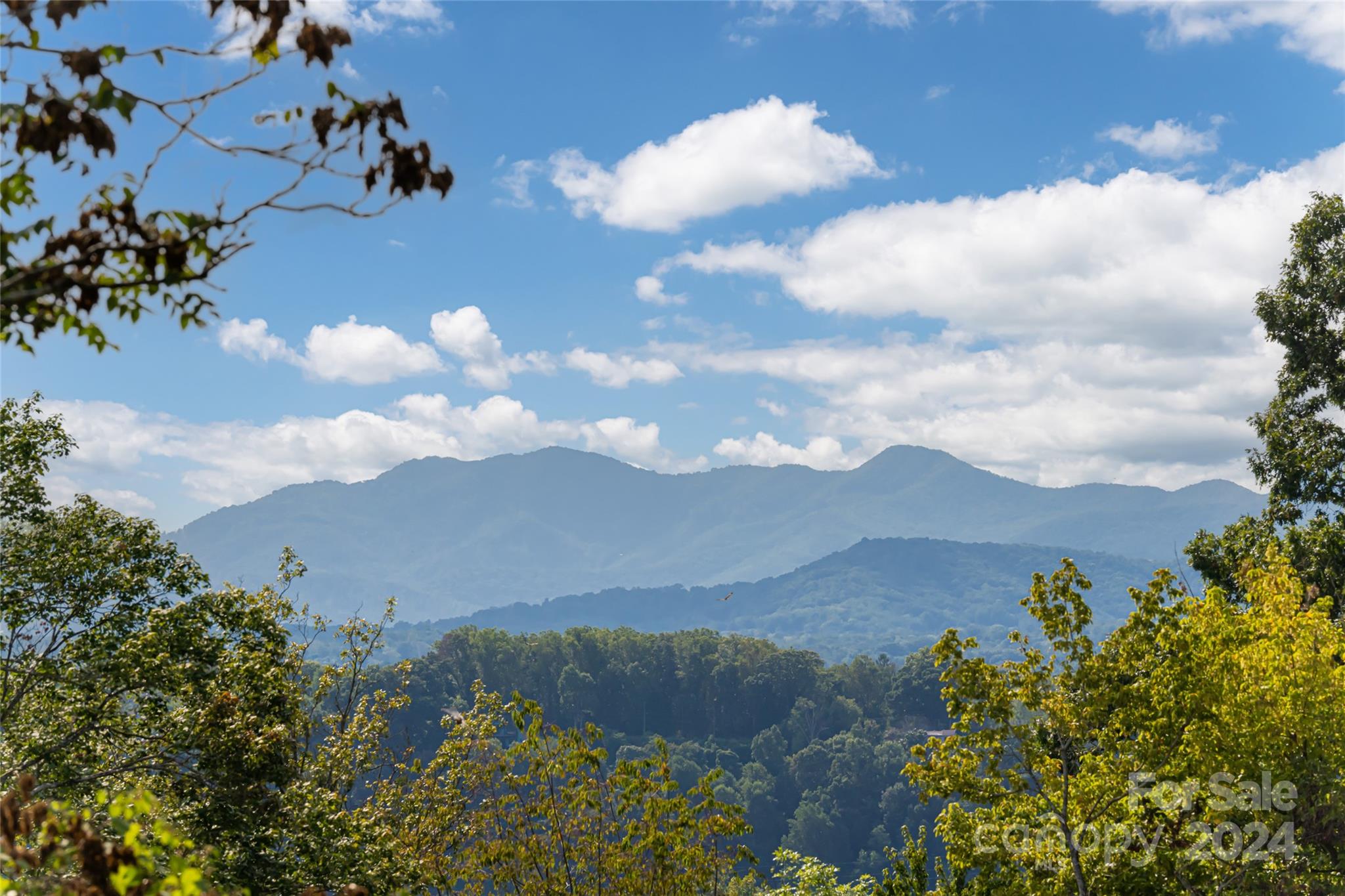 56 Sherwood Road Property Photo 39