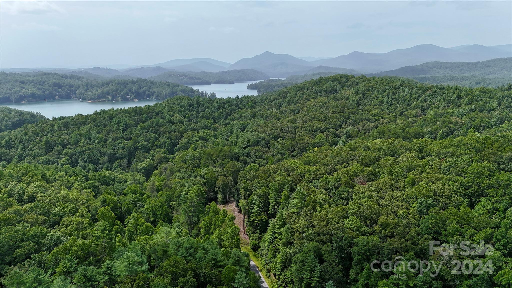 377 Jake Taylor Road Property Photo 4
