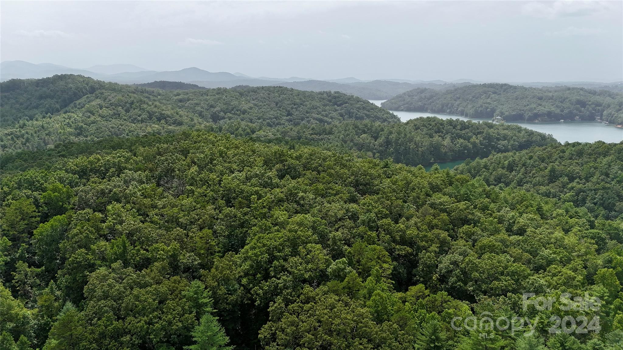 377 Jake Taylor Road Property Photo 5