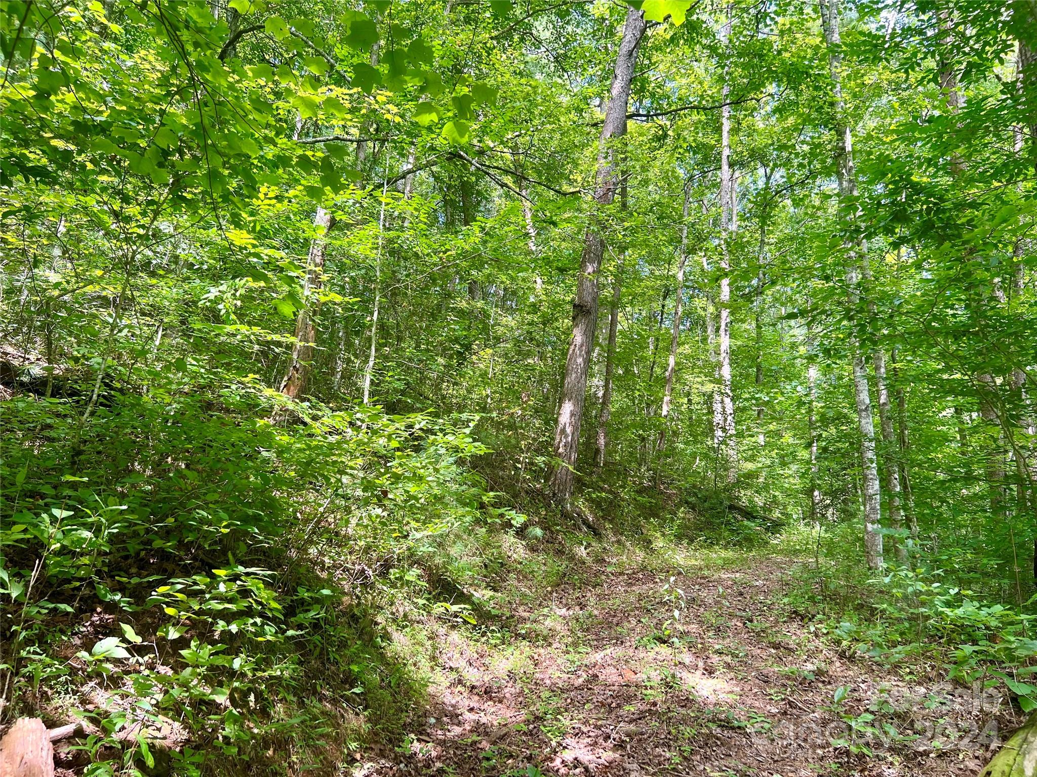 377 Jake Taylor Road Property Photo 6