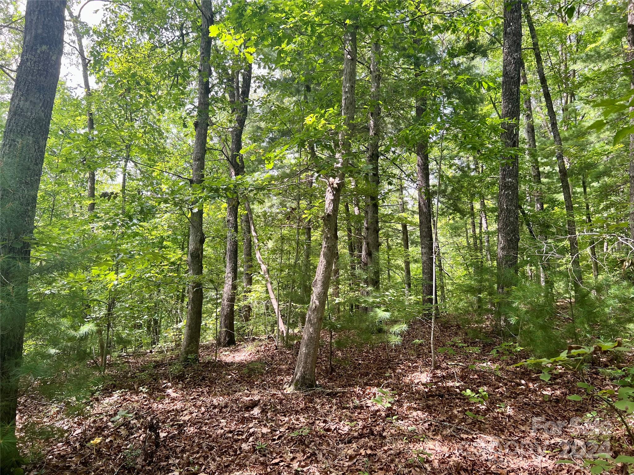 377 Jake Taylor Road Property Photo 10