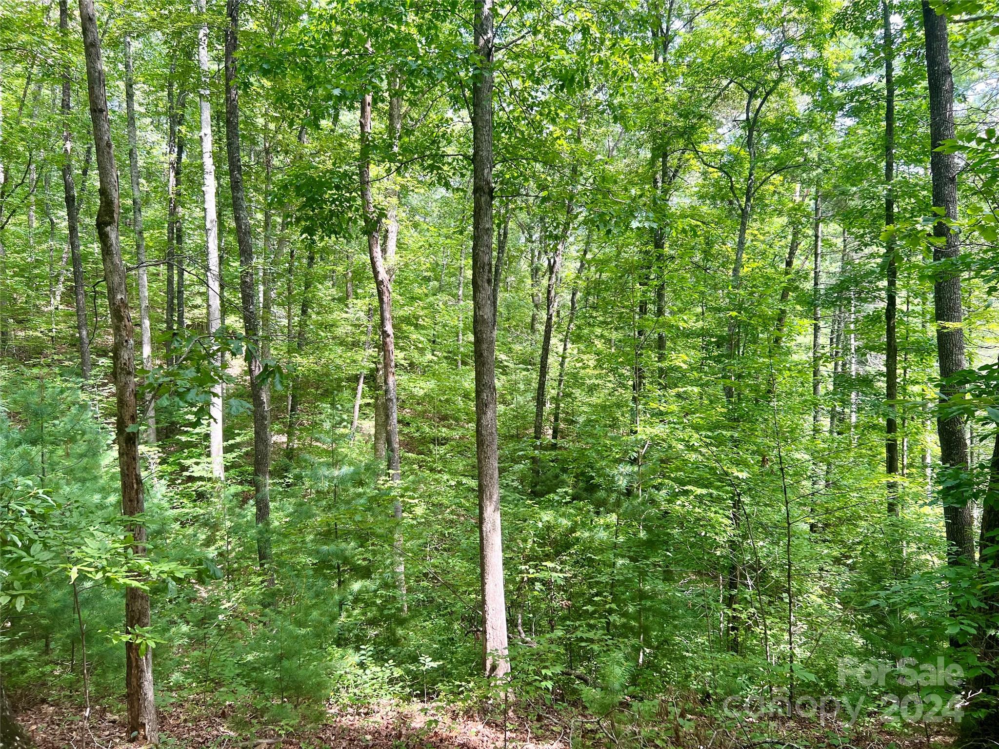 377 Jake Taylor Road Property Photo 11