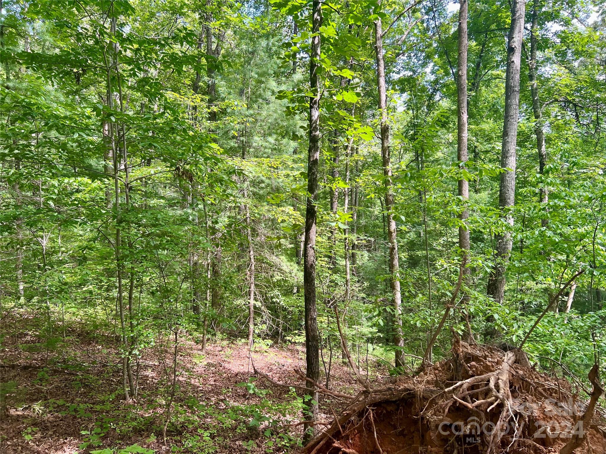 377 Jake Taylor Road Property Photo 14