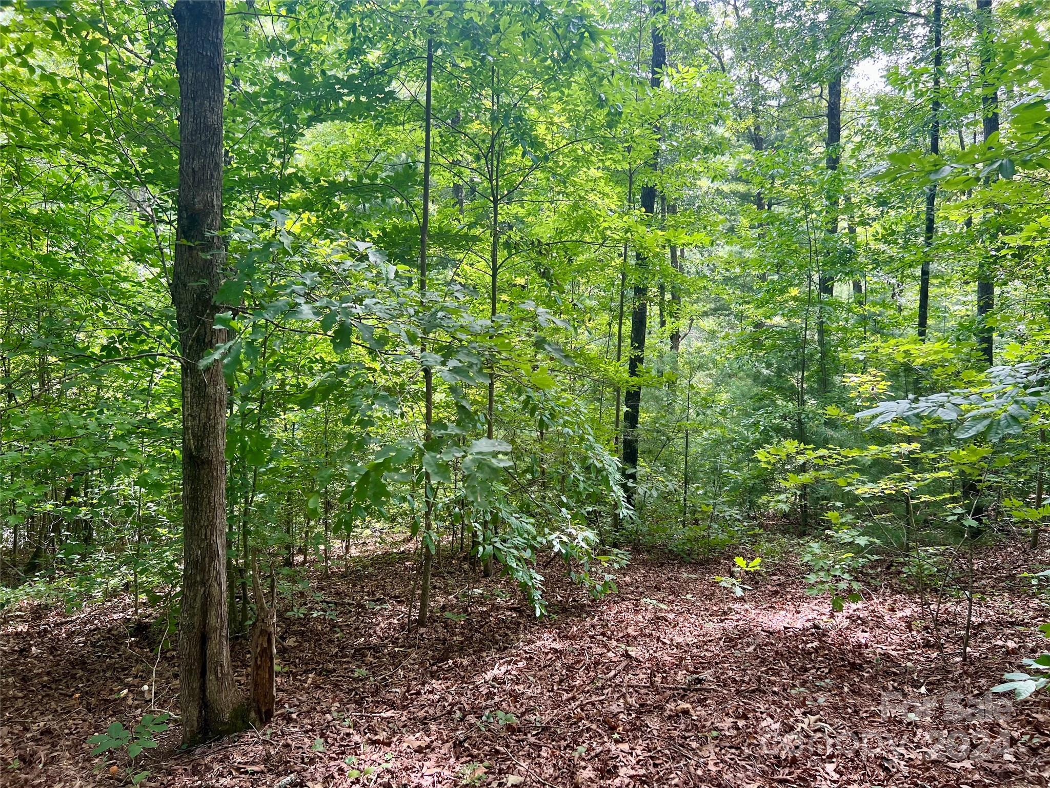 377 Jake Taylor Road Property Photo 15