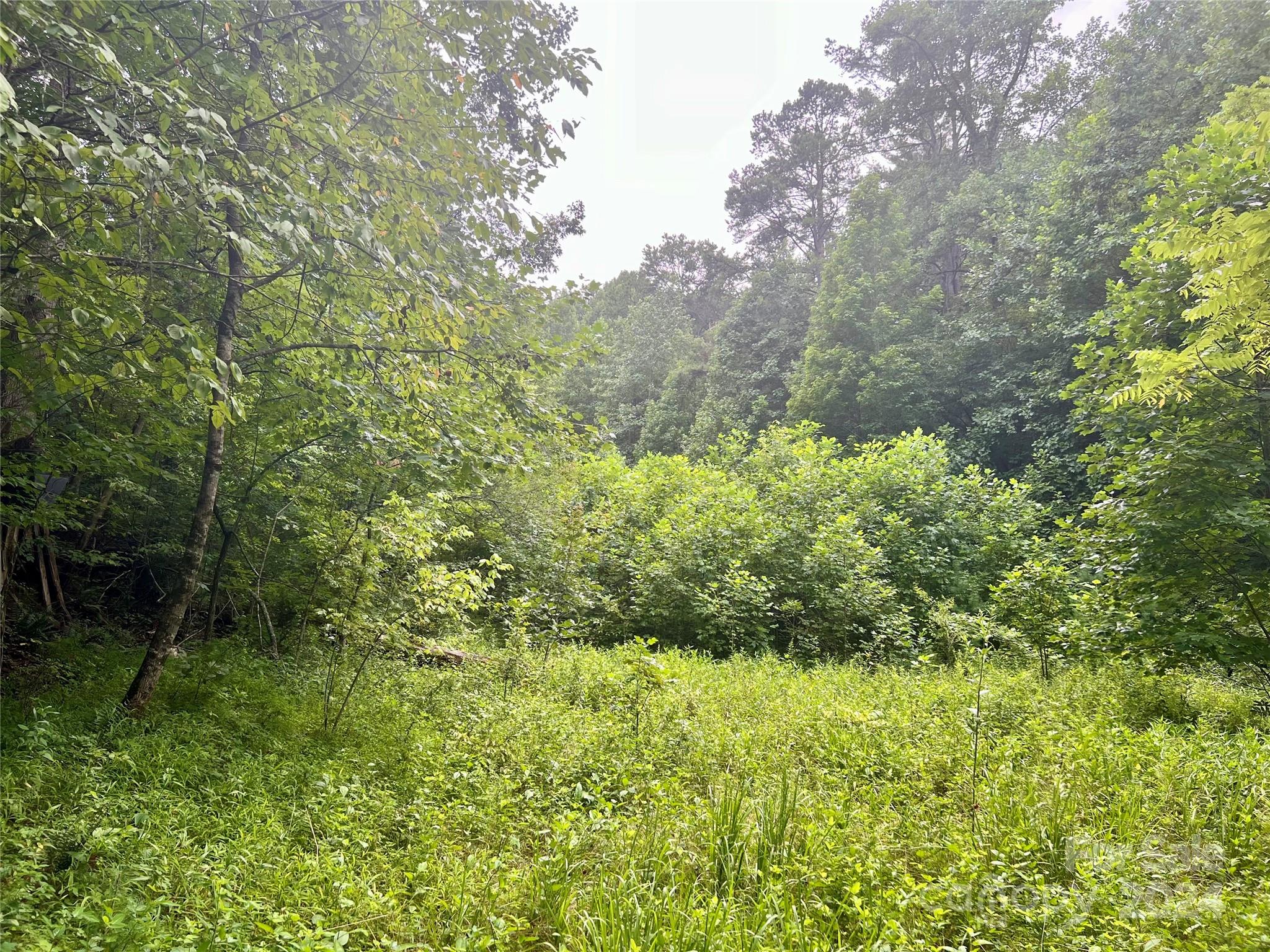 377 Jake Taylor Road Property Photo 18