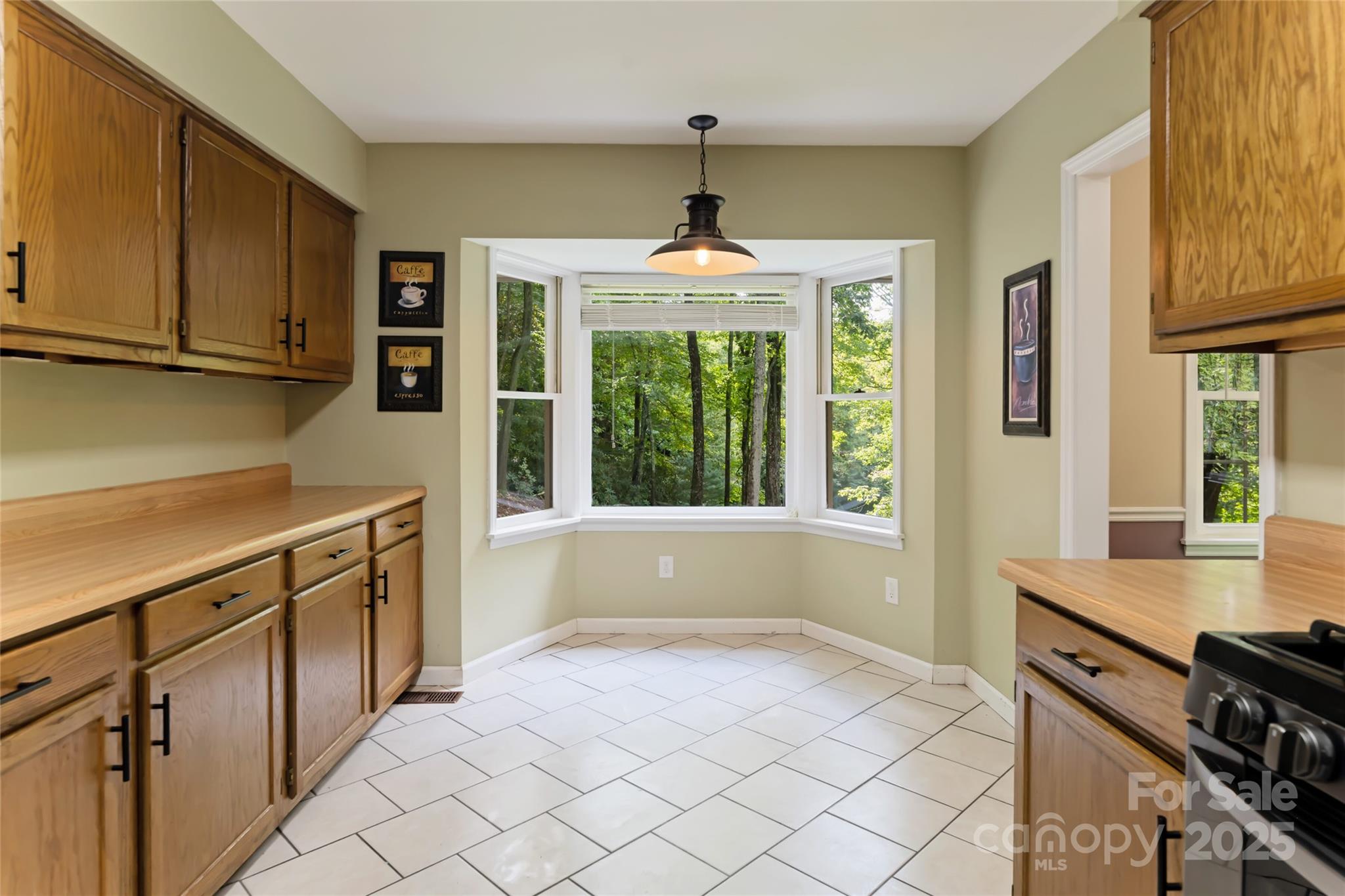 520 Oakwilde Drive Property Photo 16