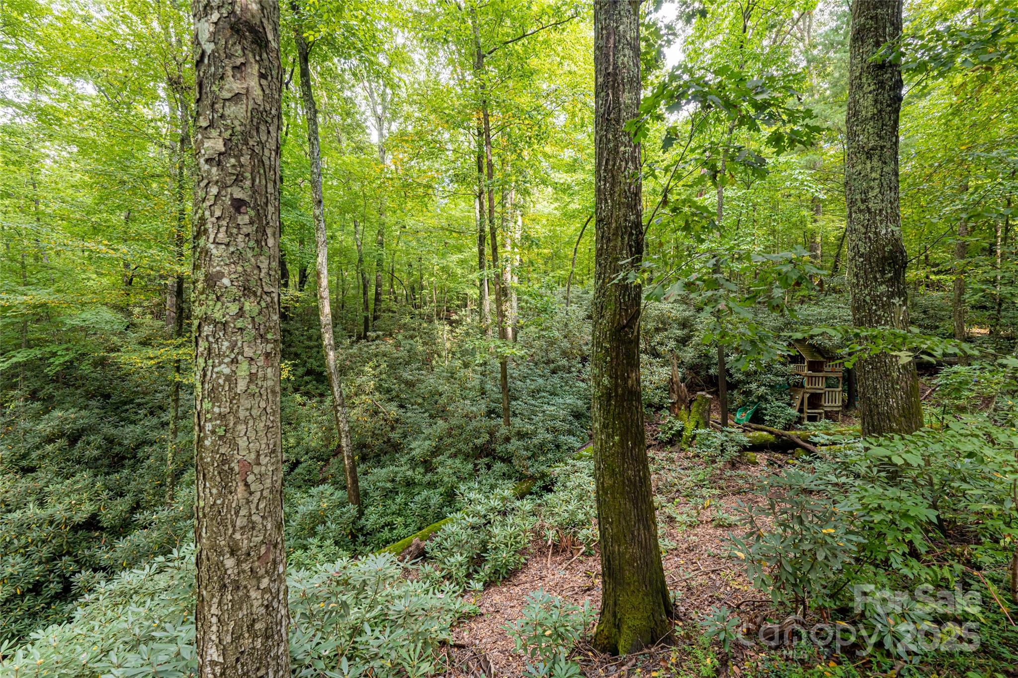 520 Oakwilde Drive Property Photo 35