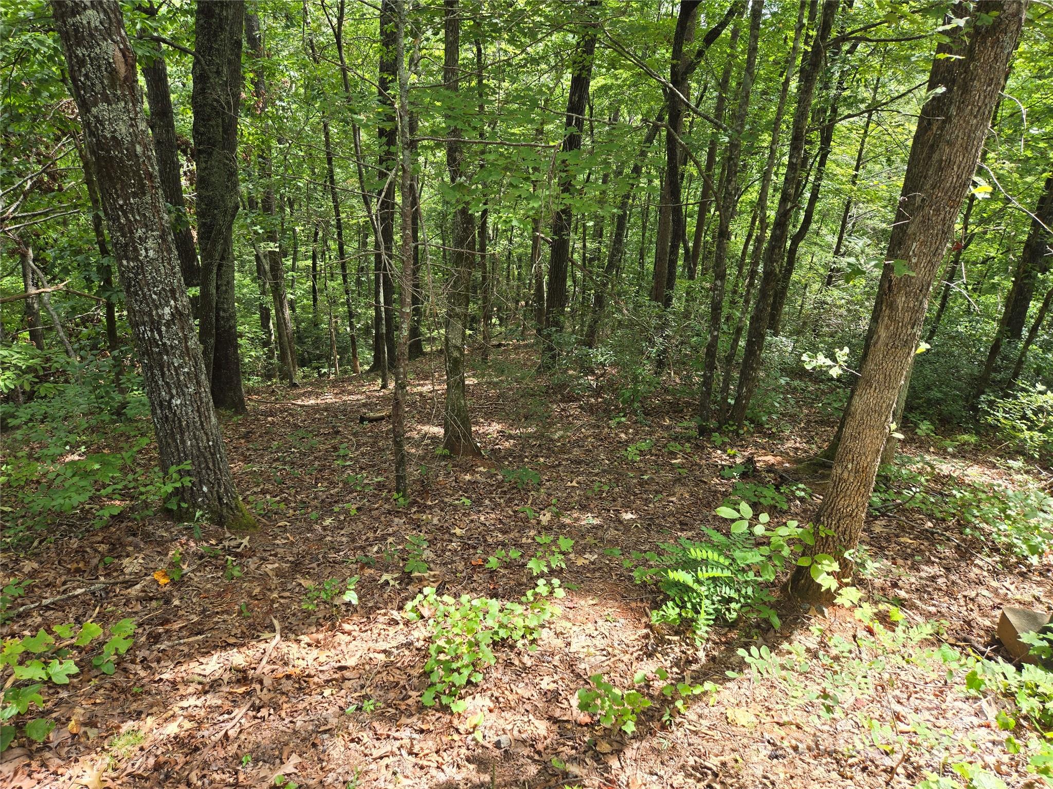 Lot 167 & 170 Deerfield Drive Property Photo