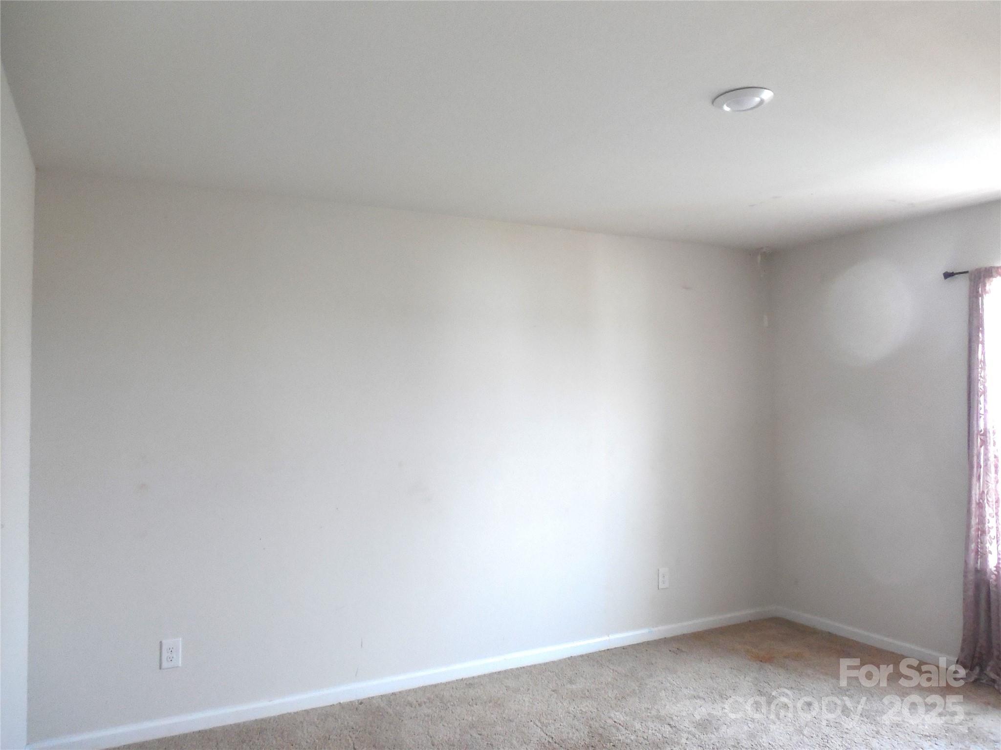 1109 Creedmore Court Property Photo 11