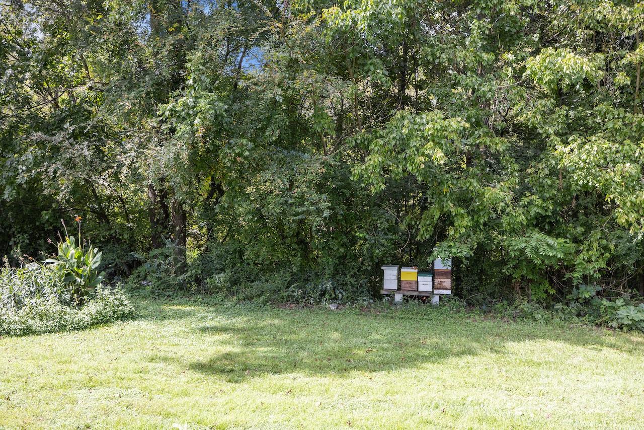 9301 Poinchester Drive Property Photo 45
