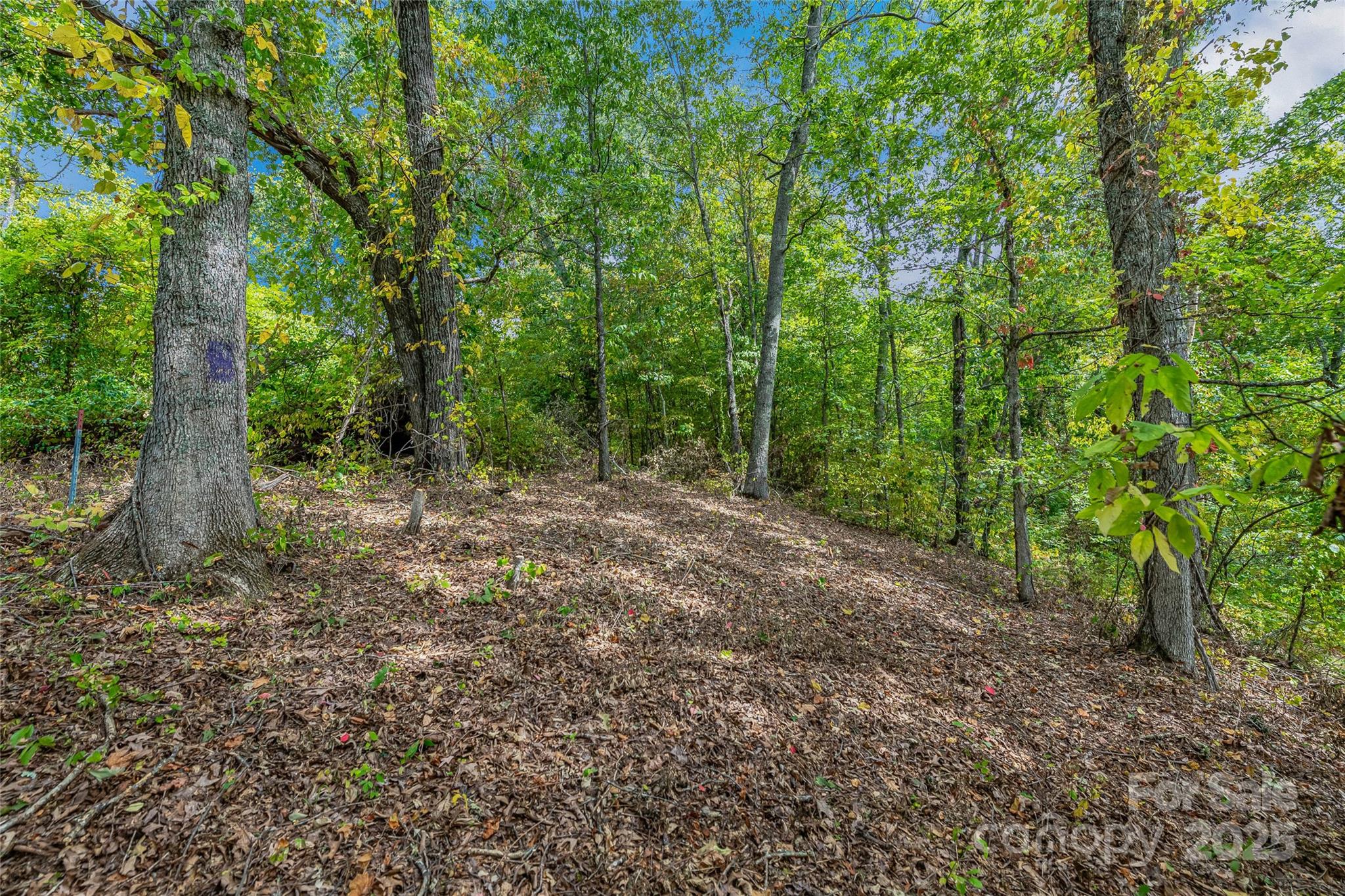 1380 Seven Glens Drive Property Photo
