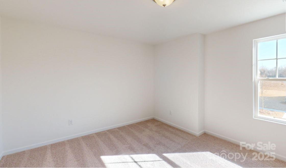 1805 Augustine Street Property Photo 13