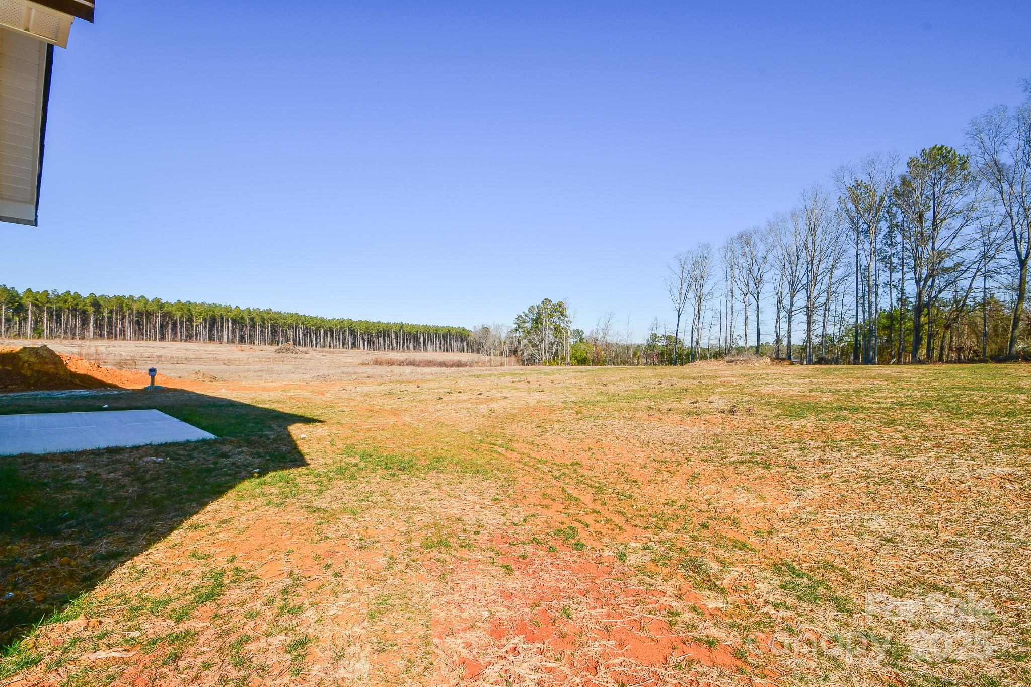 7805 Medlin Road Property Photo 3