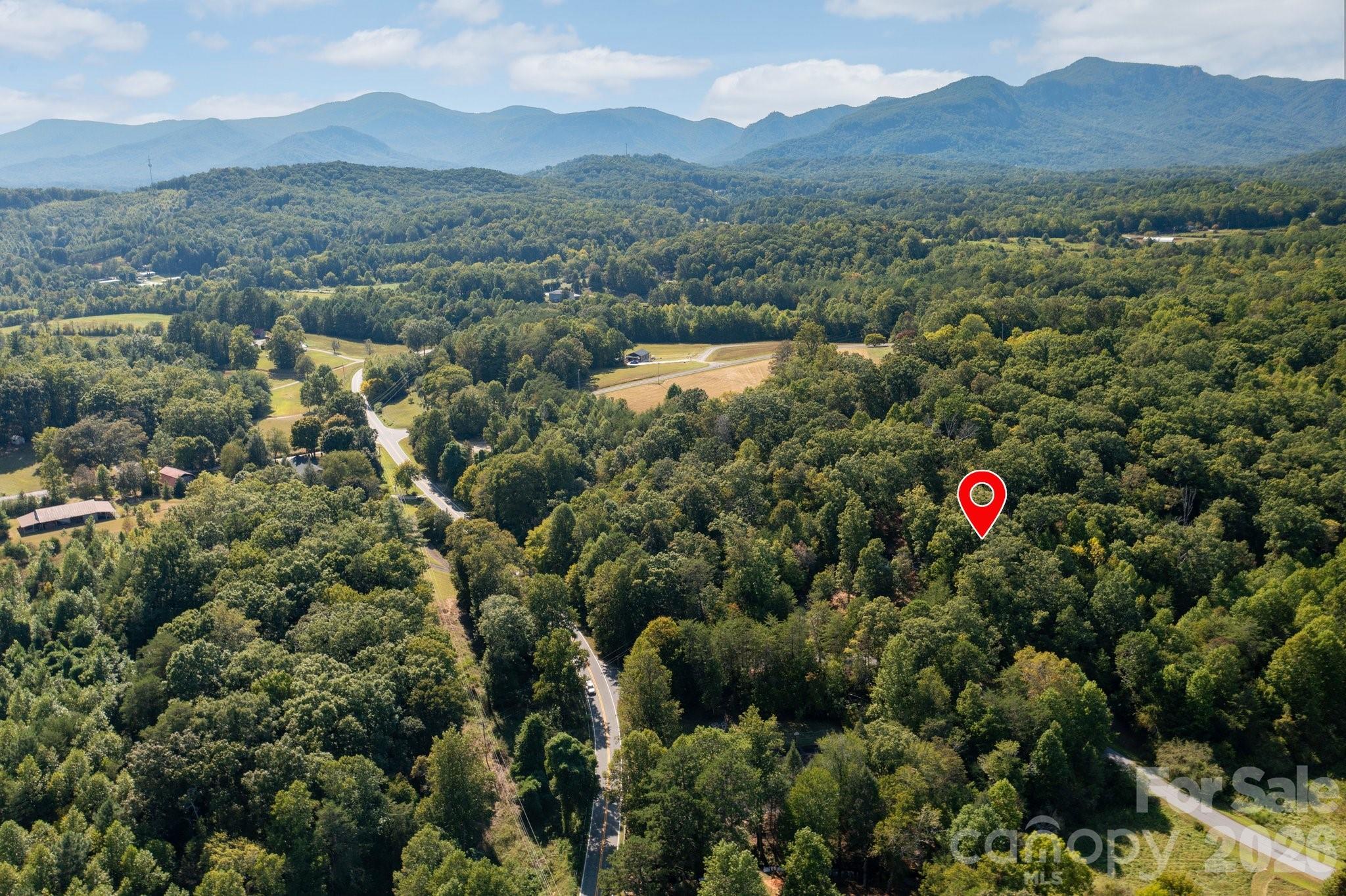 117 Laurel Lakes Parkway Property Photo 26