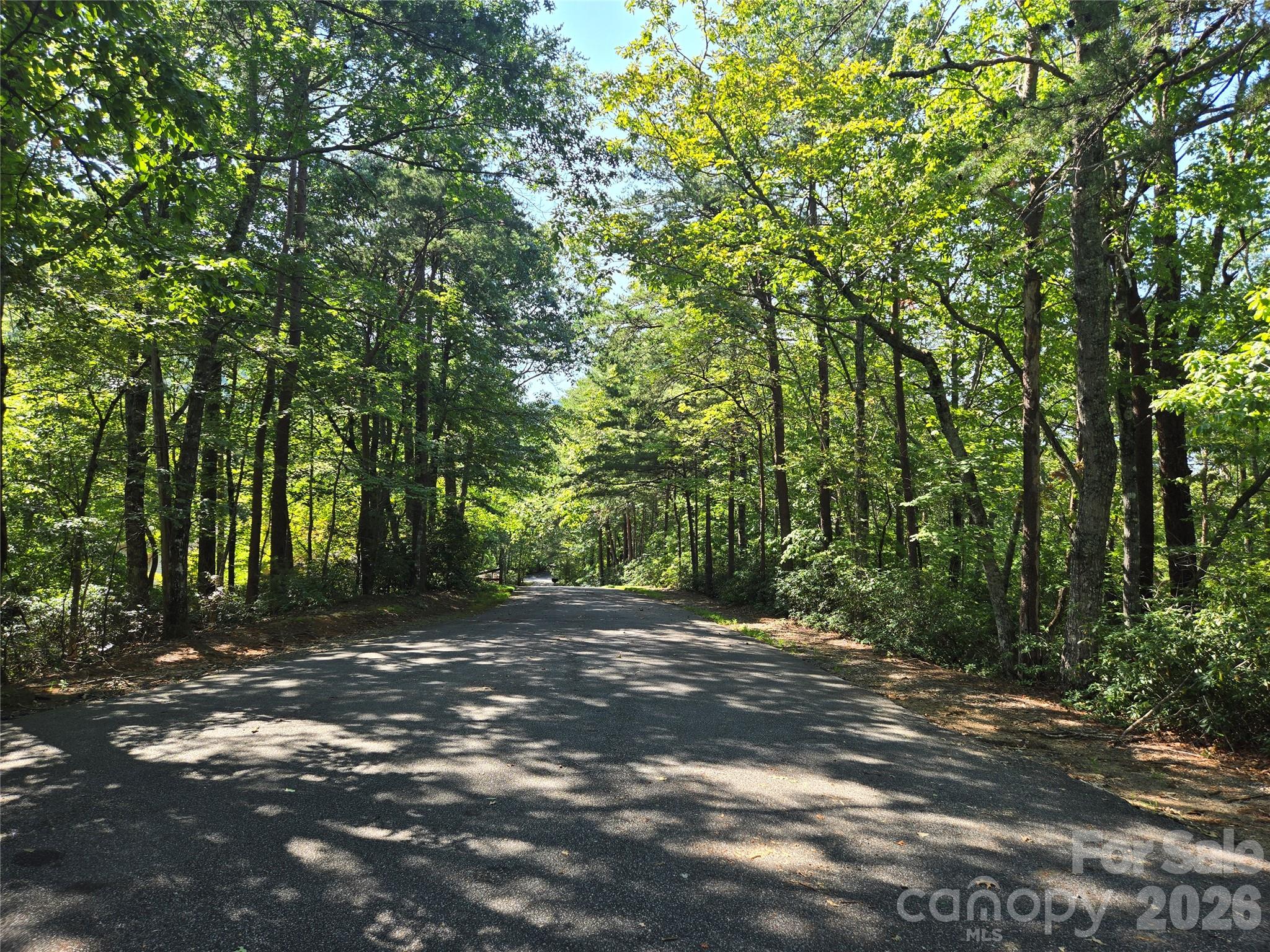 Lot 152 Sullivan Lane Property Photo 2