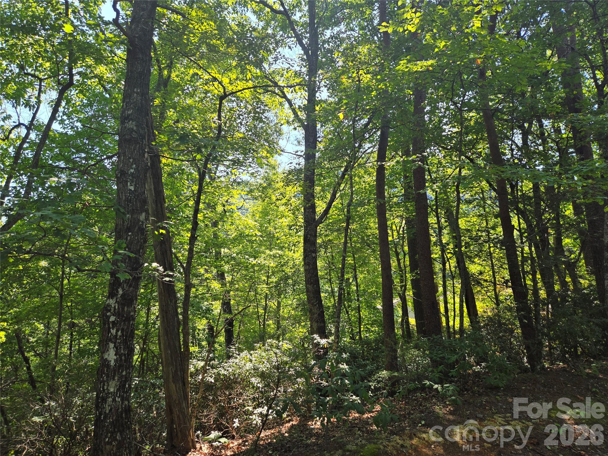 Lot 152 Sullivan Lane Property Photo 5