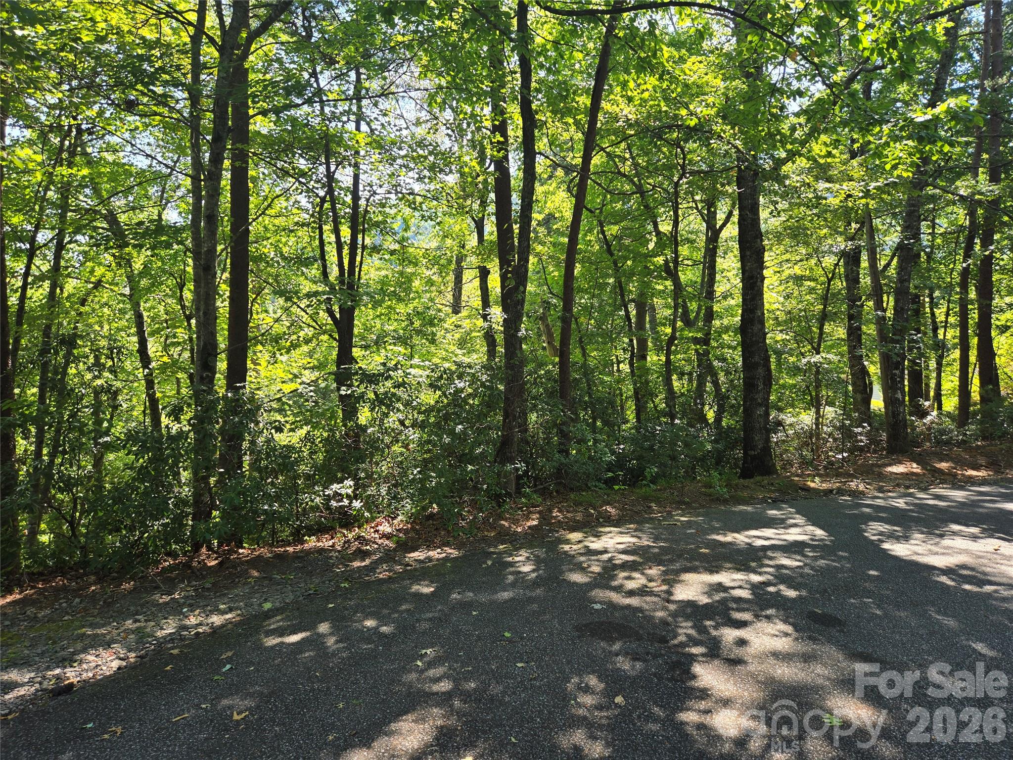 Lot 152 Sullivan Lane Property Photo 6