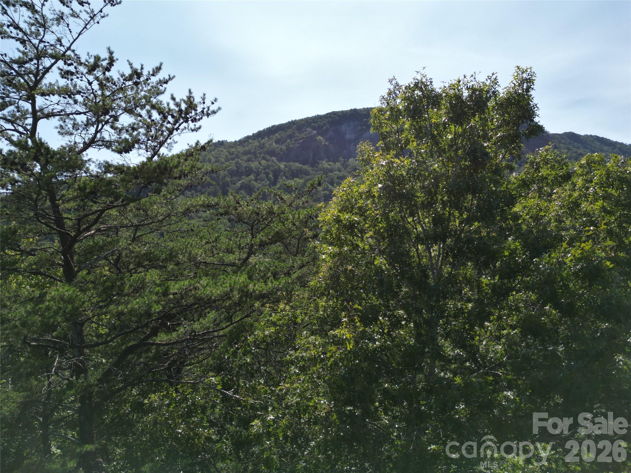 Lot 152 Sullivan Lane Property Photo 9