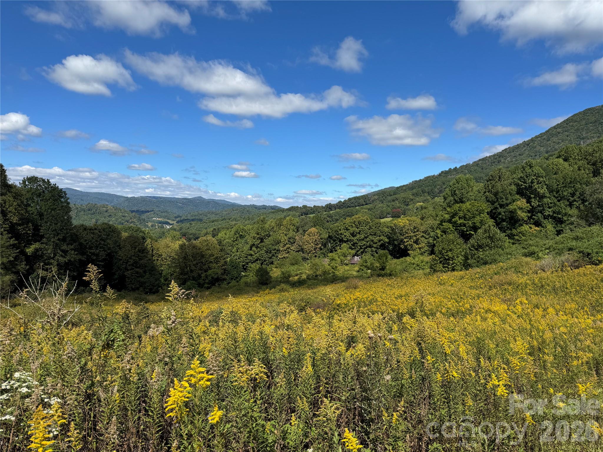 840 Ed Williams Road Property Photo 12